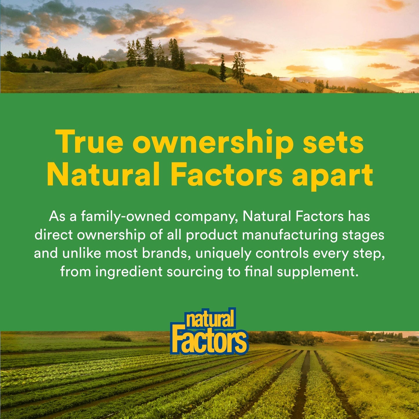 Natural Factors Turmeric & Bromelain 450 mg, Muscle and Joint Support, 90 Capsules