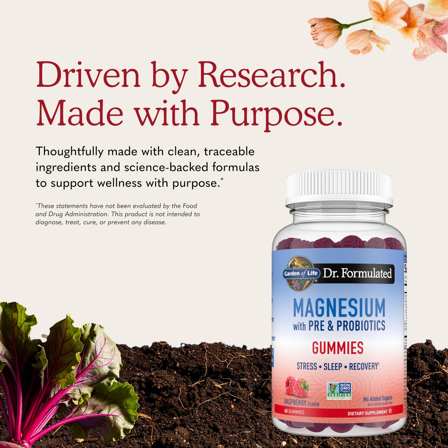 Garden of Life Magnesium with Pre & Probiotics Gummies, 60 Gummies