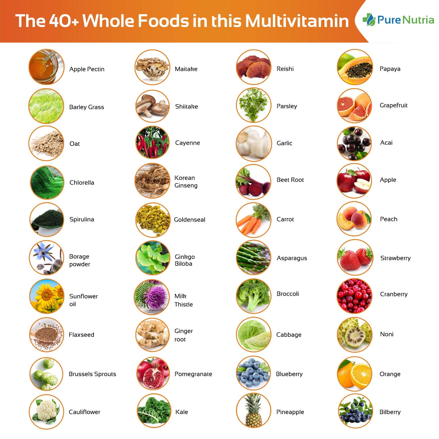 PureNutria Whole Food Multivitamin and Minerals with Probiotic Enzymes 120 Caplets