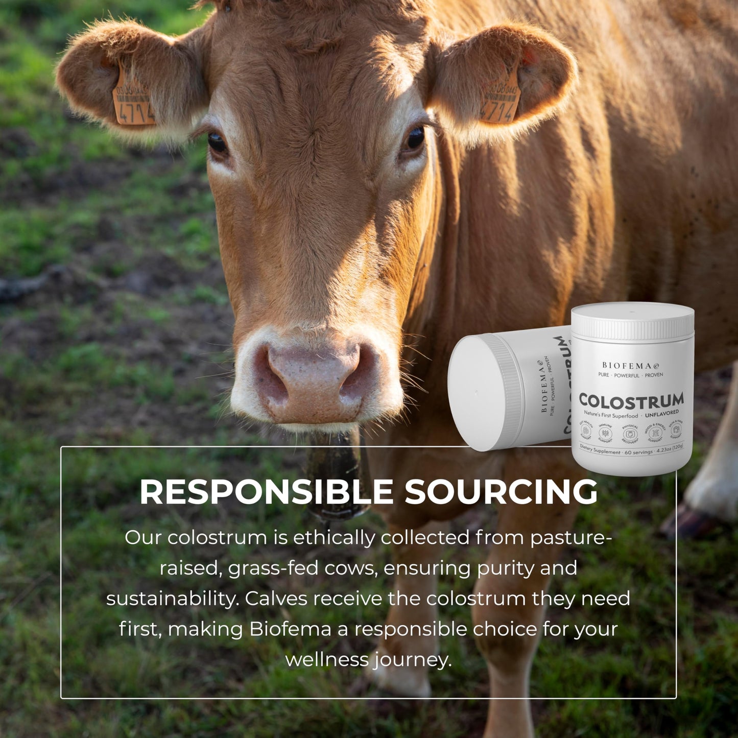 BIOFEMA Bovine Colostrum Supplement Powder 4.23 Ounce