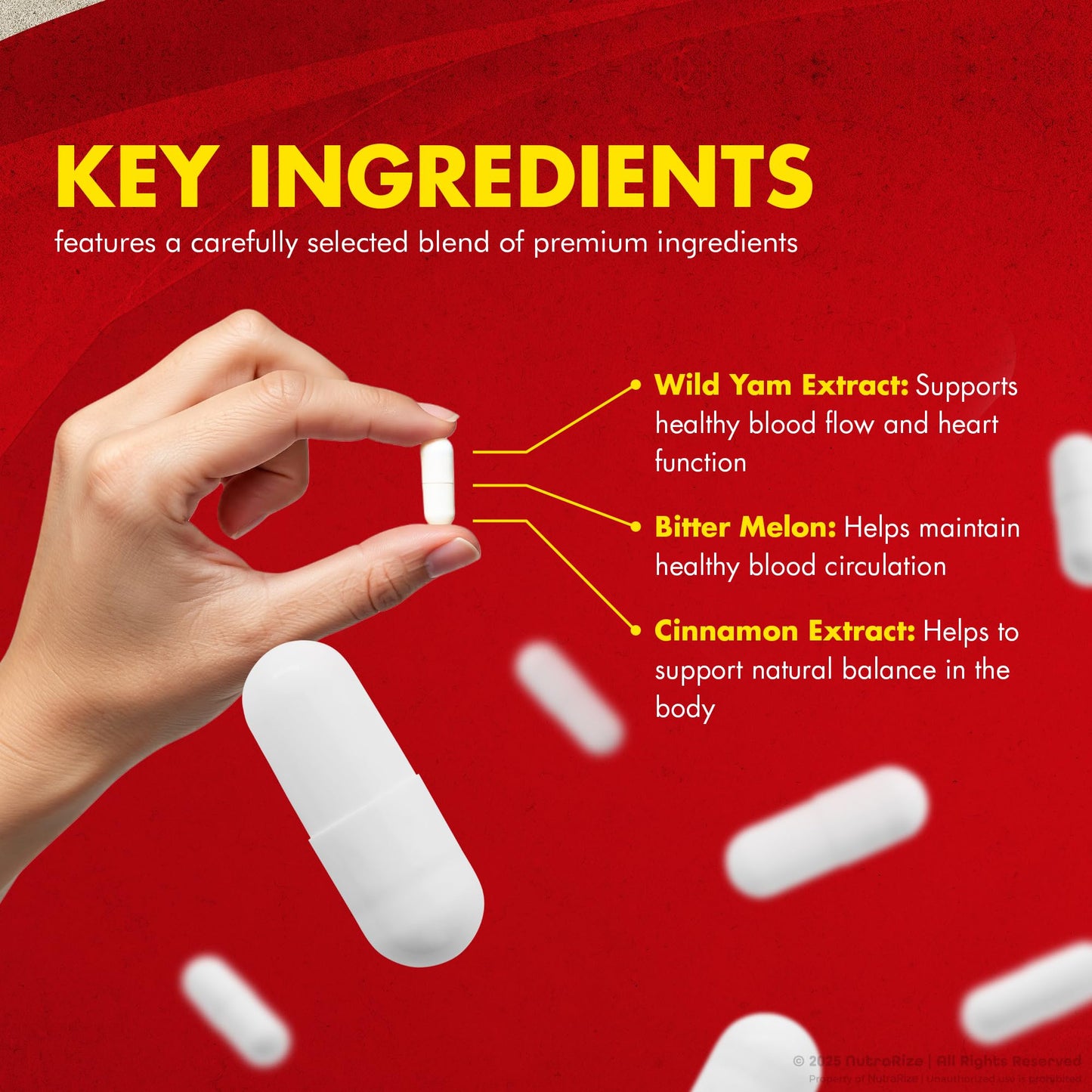 NutraRize Gluco Guard Capsules 60 Capsules