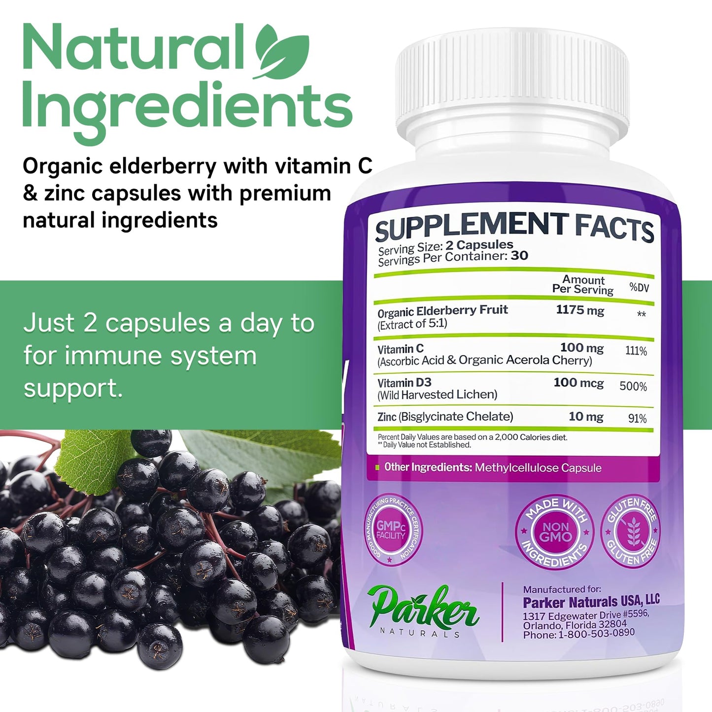 Parker Naturals Organic Elderberry Capsules, 60 Capsules
