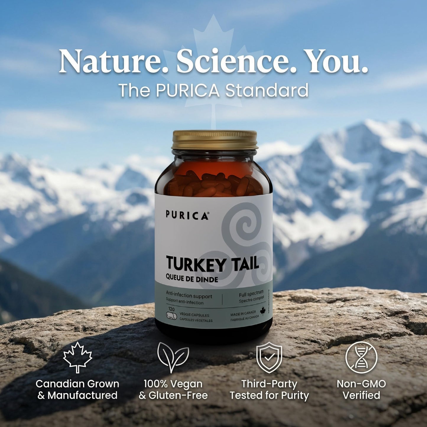 PURICA Coriolus Yunzhi Mushroom (Turkey Tail) 500mg Capsule 120 Count