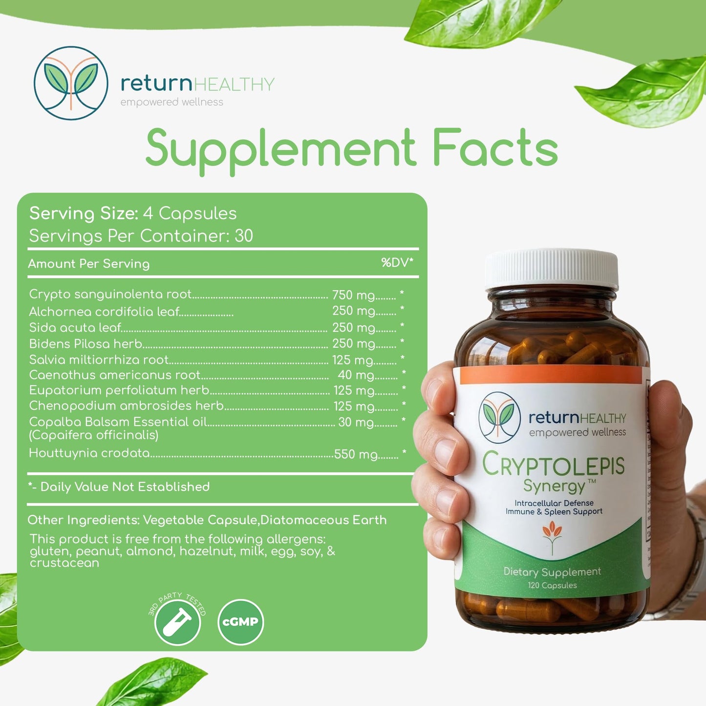 Return Healthy Cryptolepis Synergy Immune Support Vitamins 360 Capsules