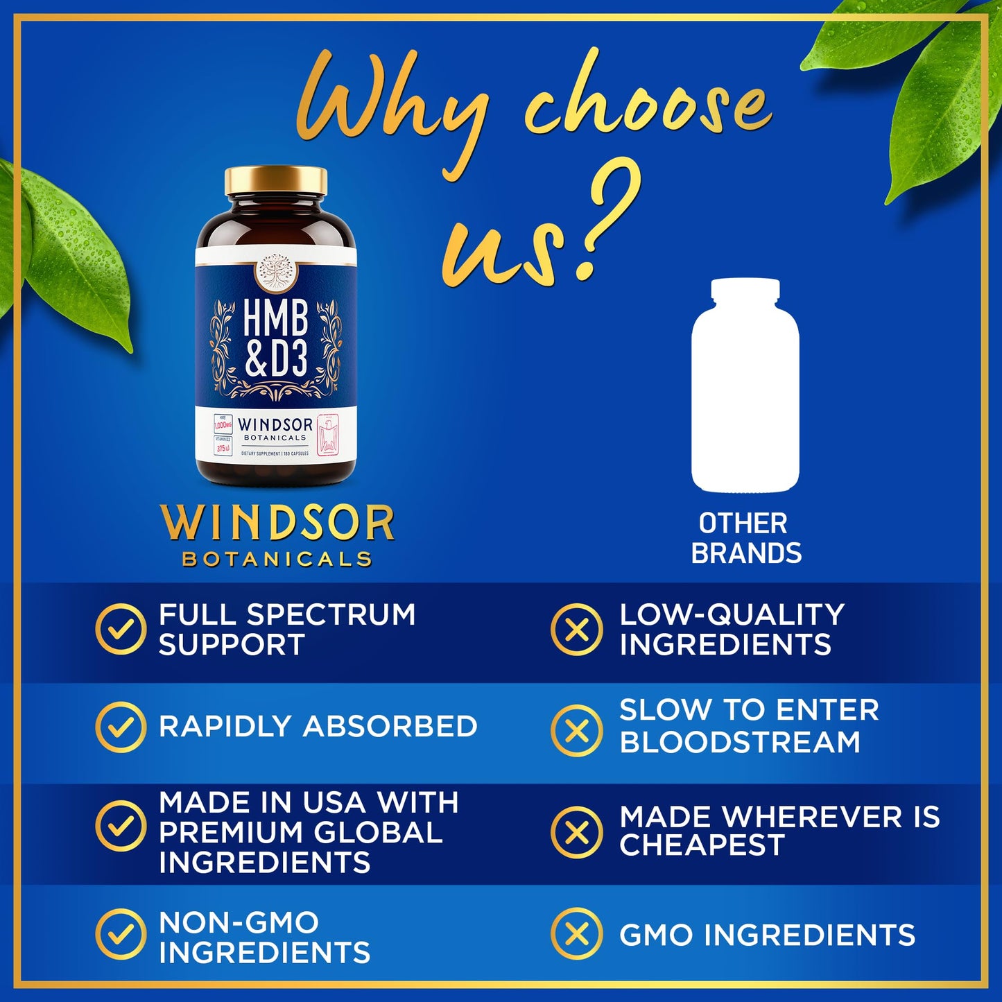 WINDSOR BOTANICALS HMB and Vitamin D3 Supplement 180 Capsules