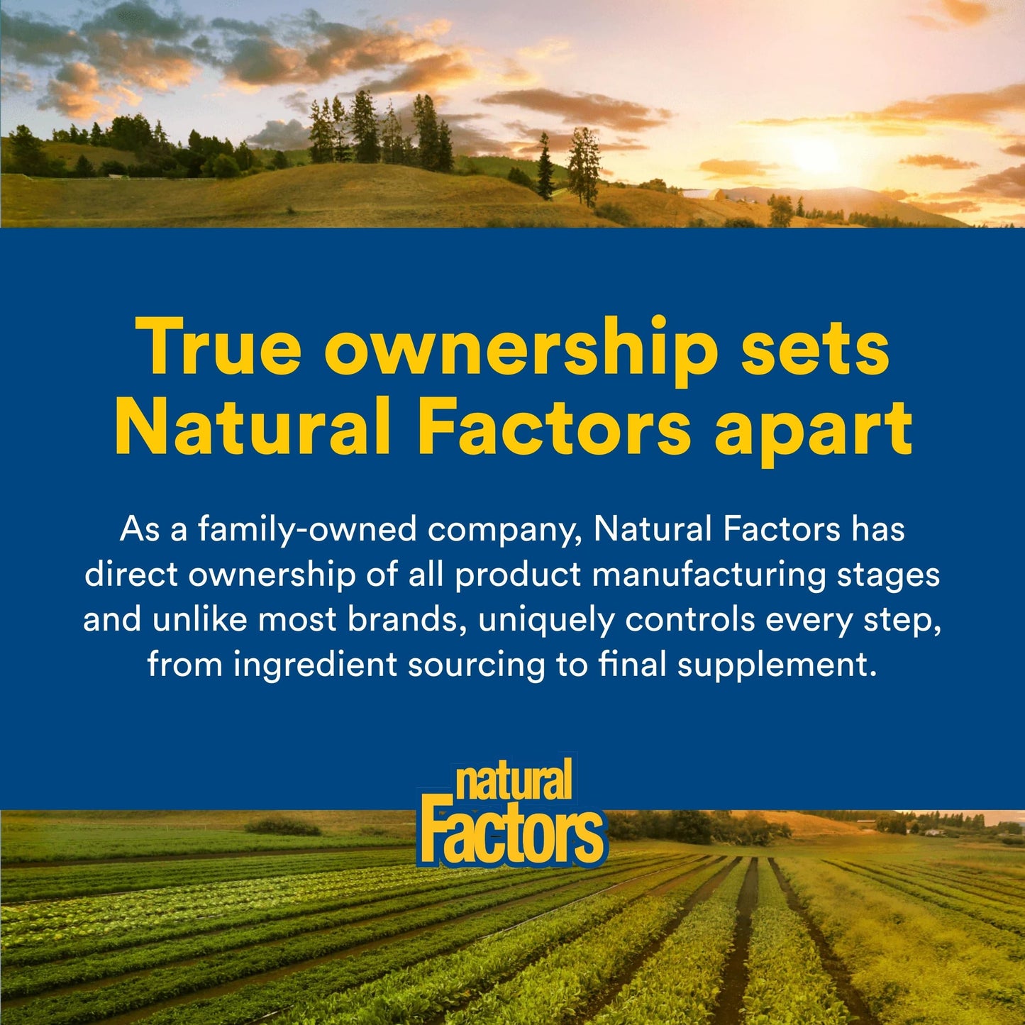 Natural Factors Vitamin D3 5,000 IU Softgels, 240 Count