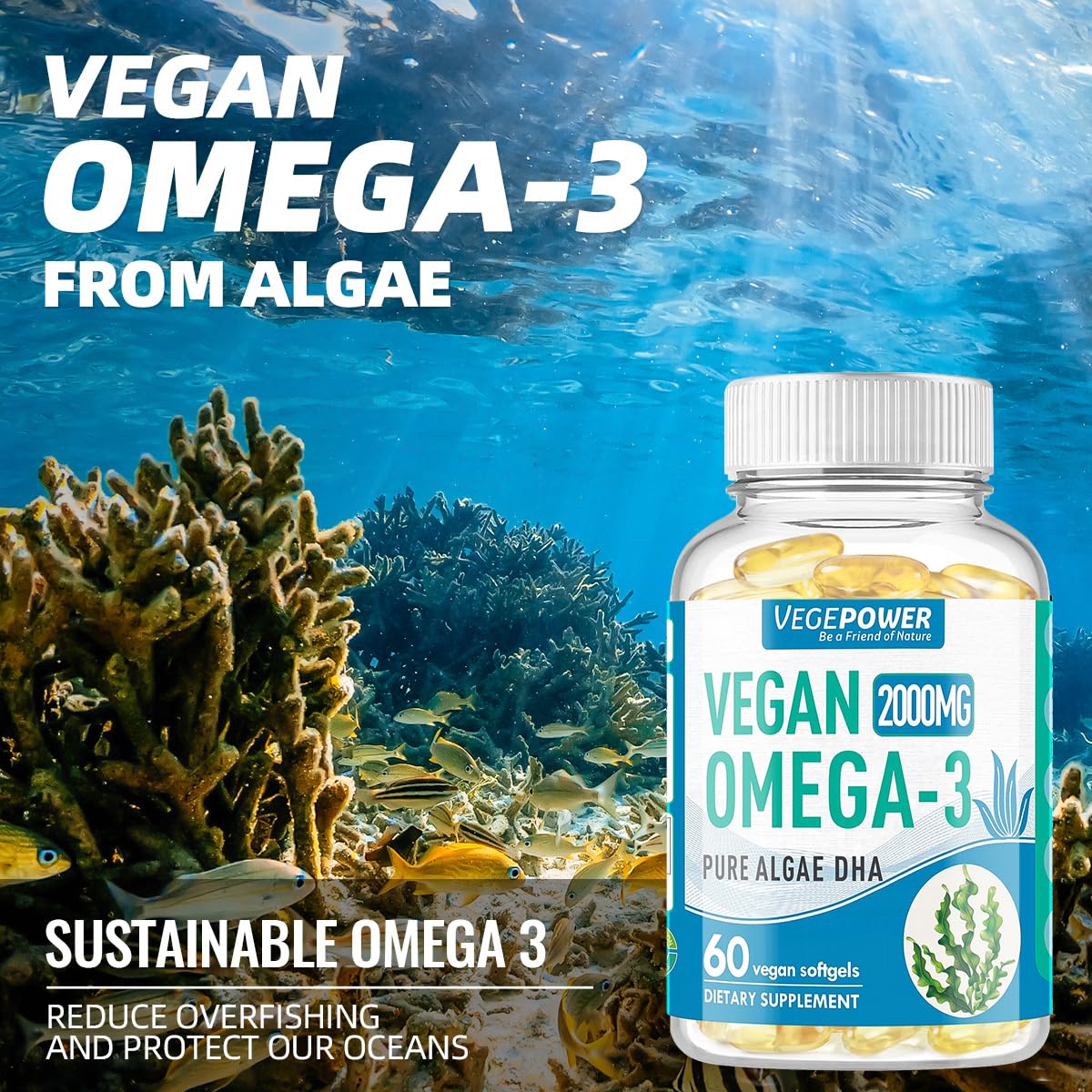 VEGEPOWER Vegan Omega 3 Supplement 800mg DHA Softgels, 60 Count
