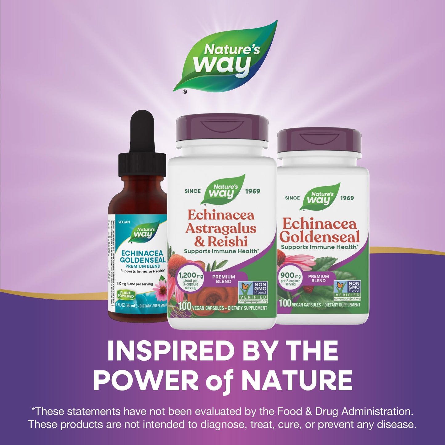 Nature's Way Echinacea, Astragalus & Reishi Immune Blend 100 Capsules