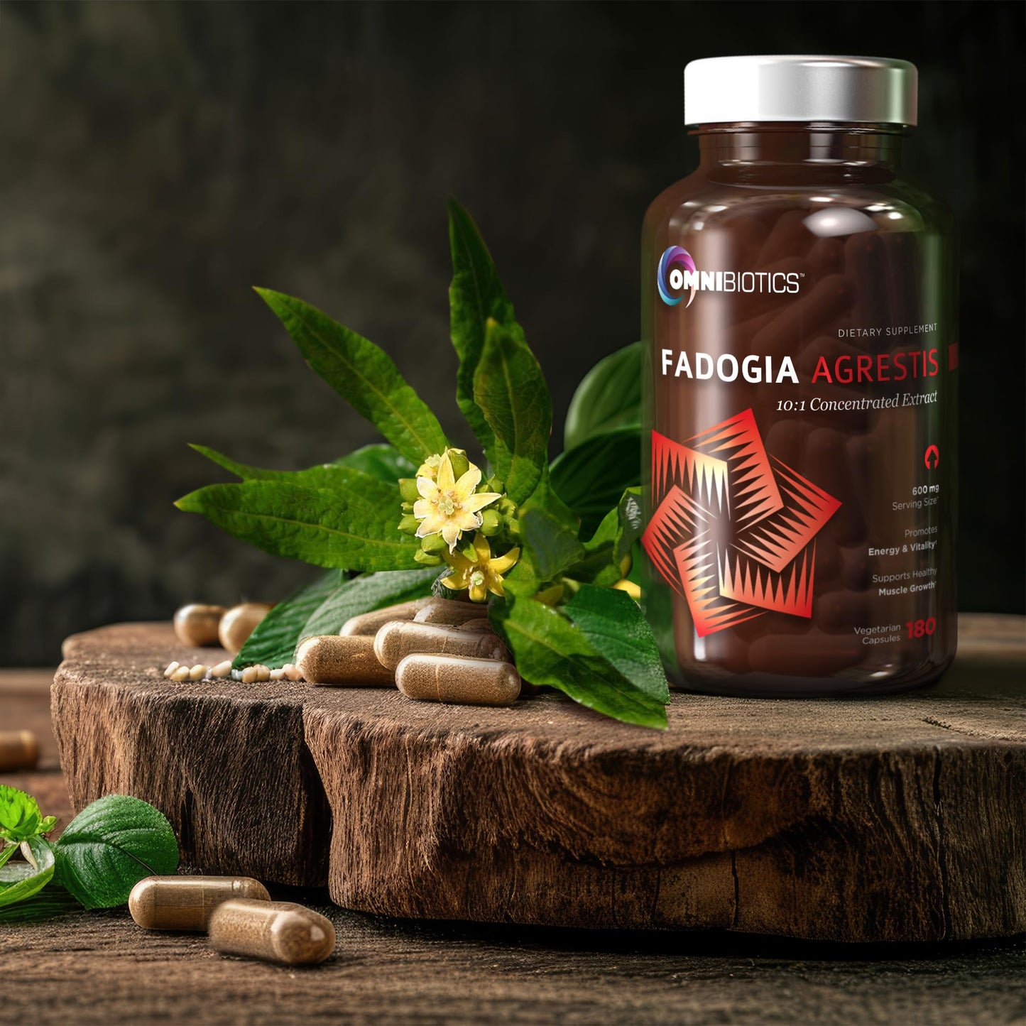 OmniBiotics Fadogia Agrestis 600mg Per Serving 10:1 Extract Capsule, 120 Count
