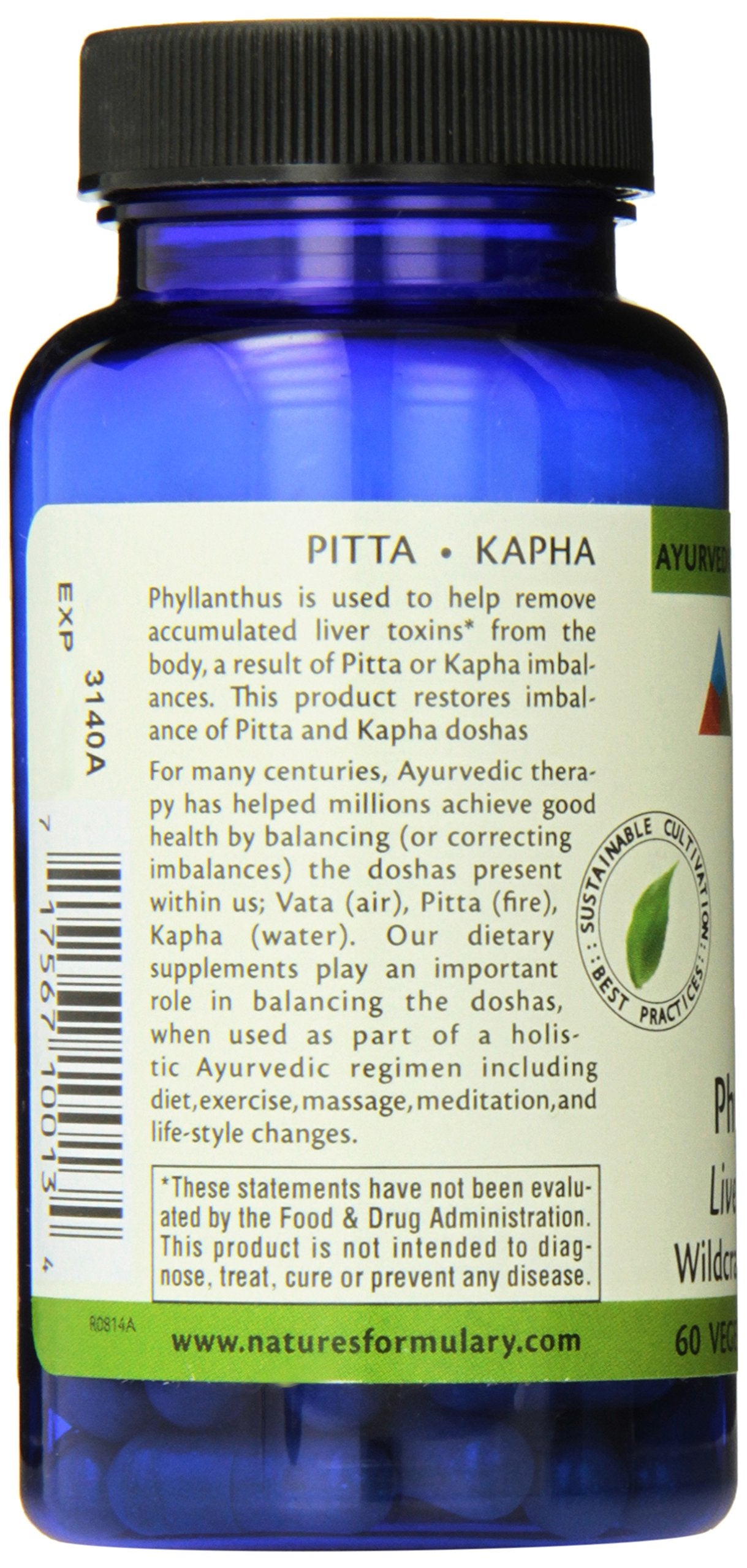 Nature's Formulary Phyllanthus Capsules 60