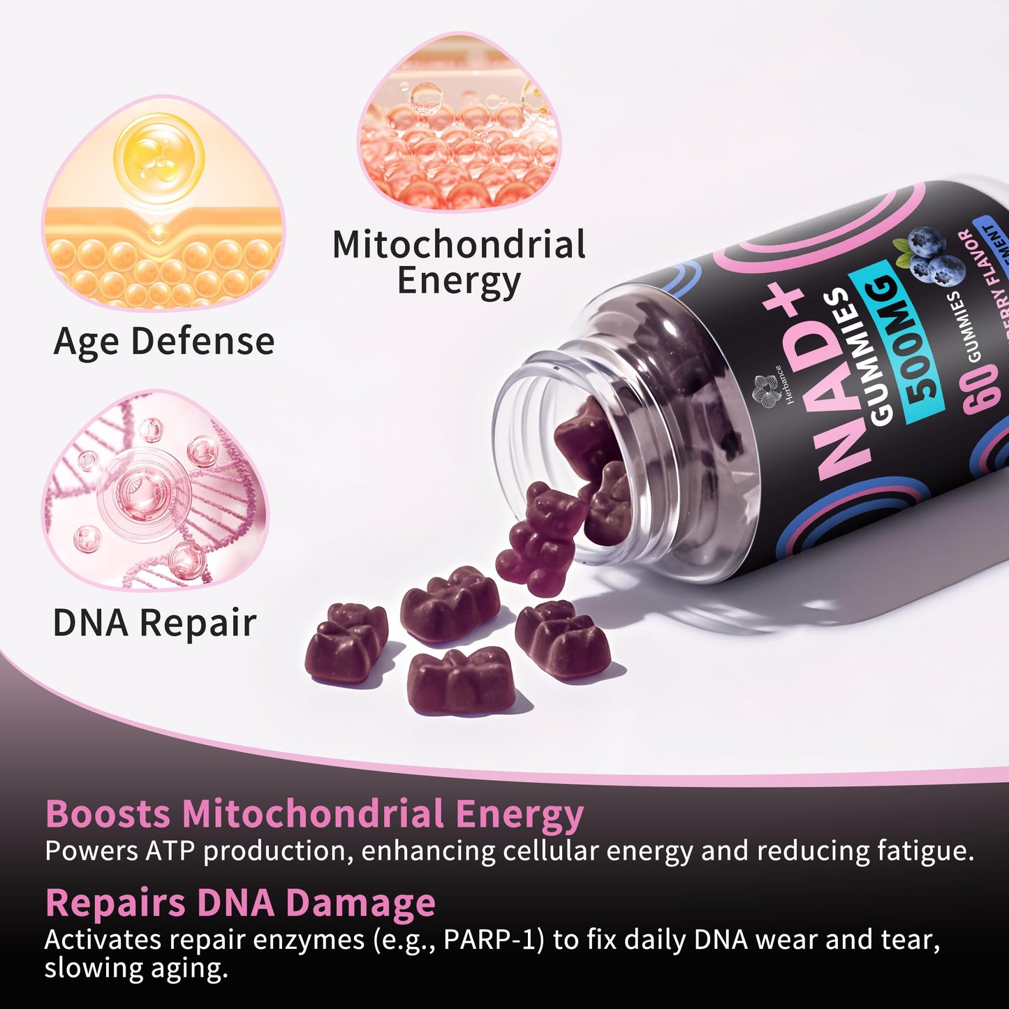 Herbance NAD+ Gummies, Liposomal NAD Plus Supplement, 500mg NAD+, 60 Gummies
