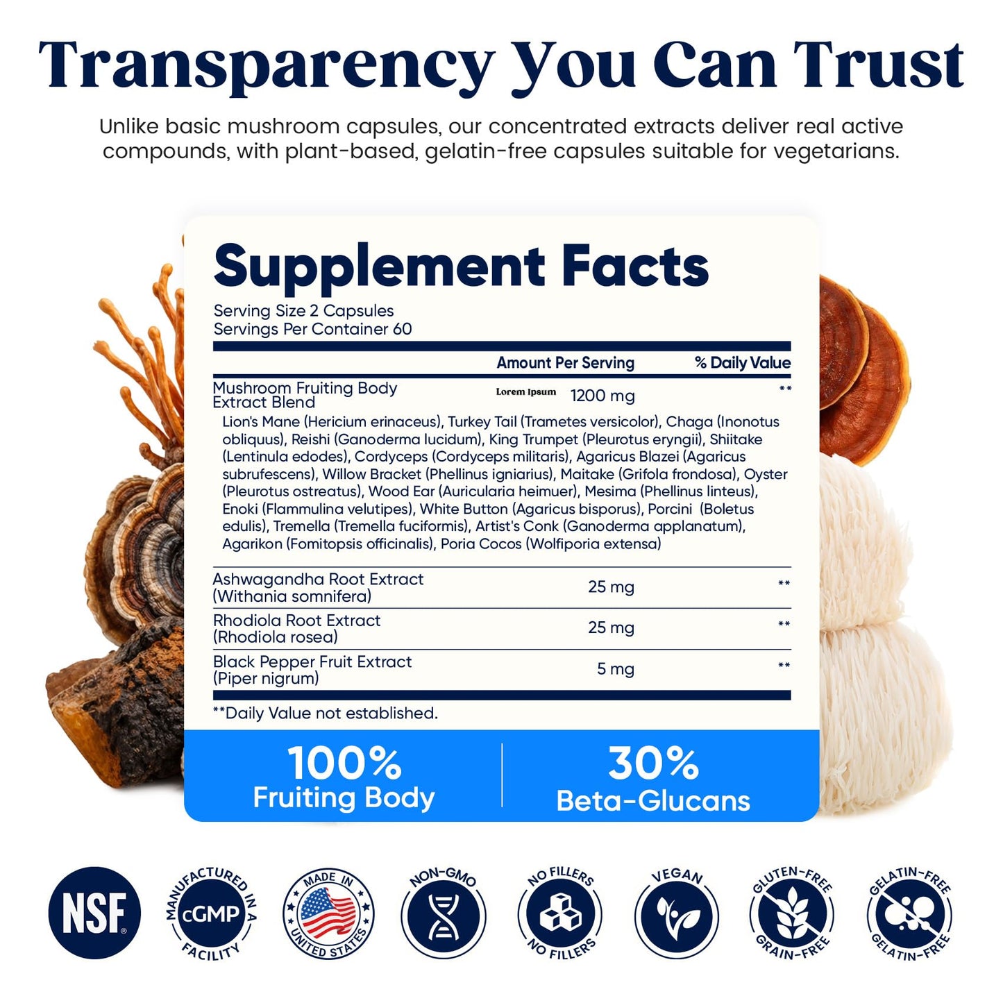 Venture Pal Mushroom Supplement Capsule 120 Count