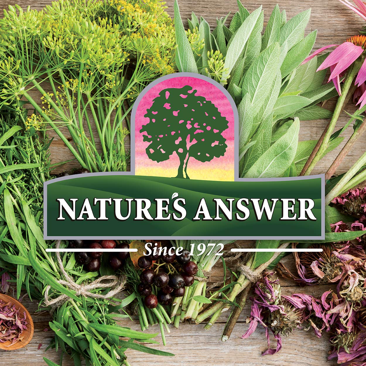 Nature's Answer Aloe Vera Phytogel Capsules 90