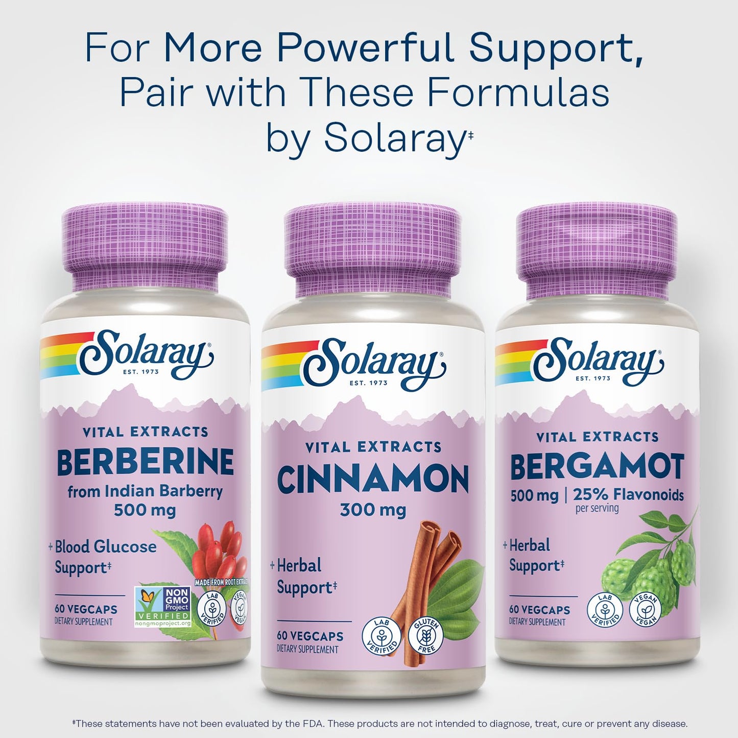 SOLARAY Cinnamon Extract 300mg Capsule, 60 VegCaps
