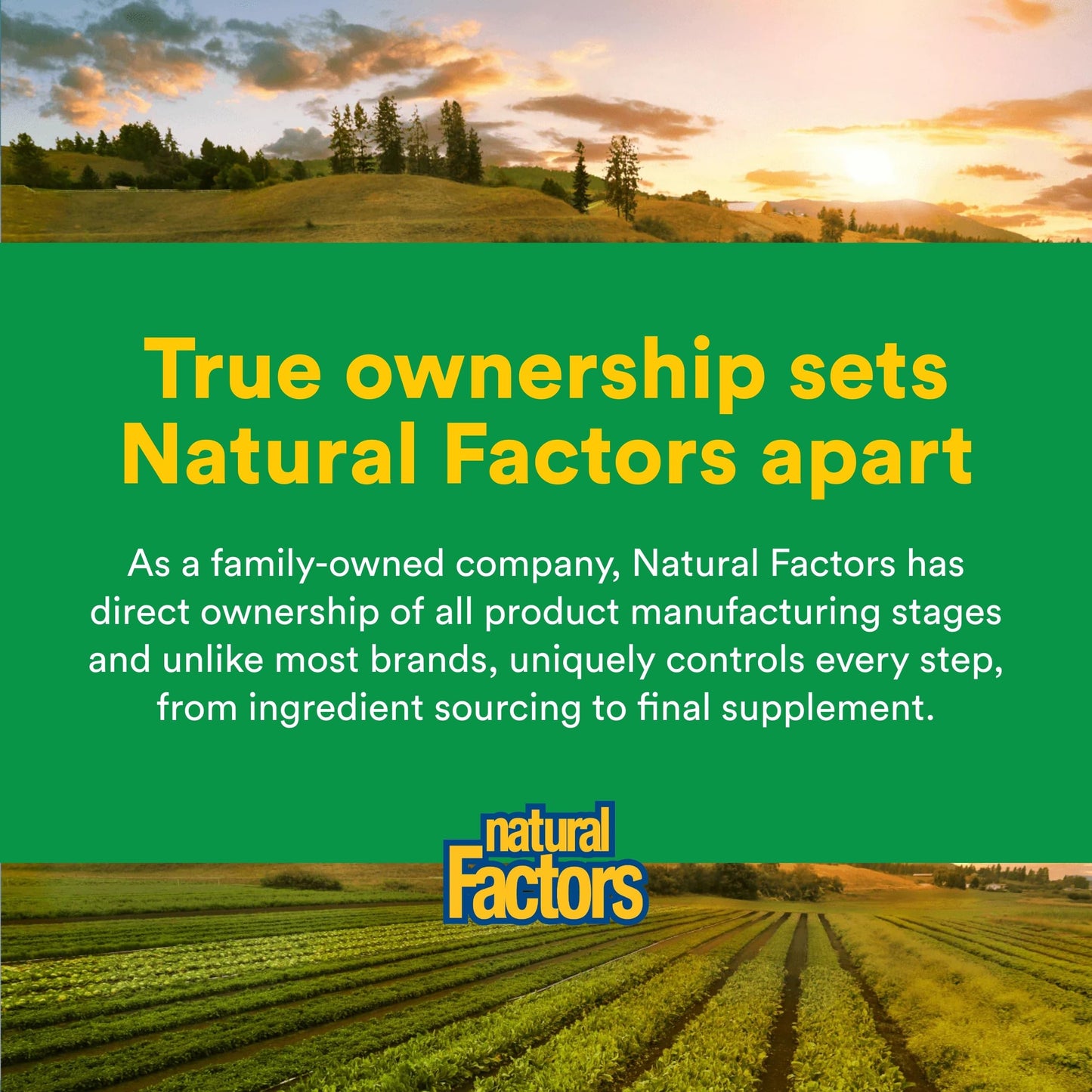 Natural Factors Whole Earth & Sea Organic Protein & Greens Powder 23.2 oz