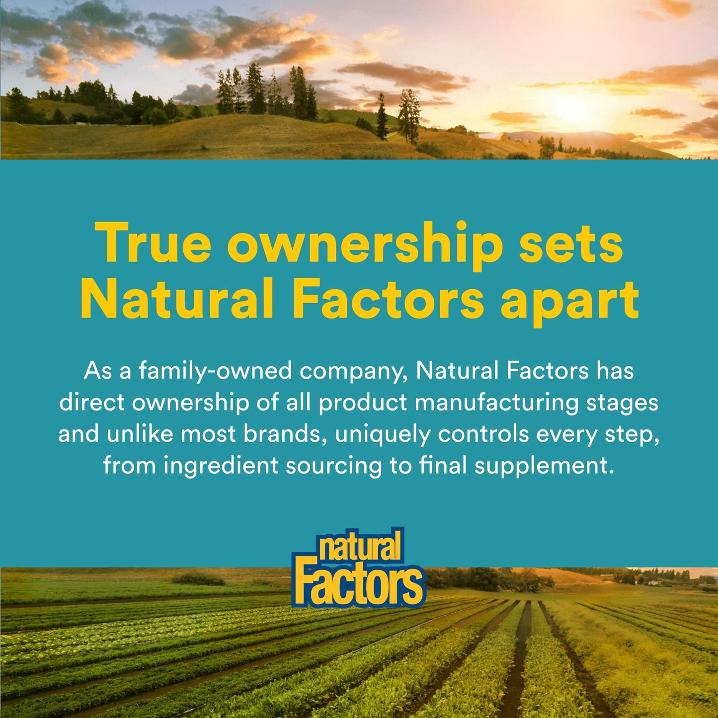 Natural Factors Alpha-Lipoic Acid + B 600 mg Capsule, 60 Capsules