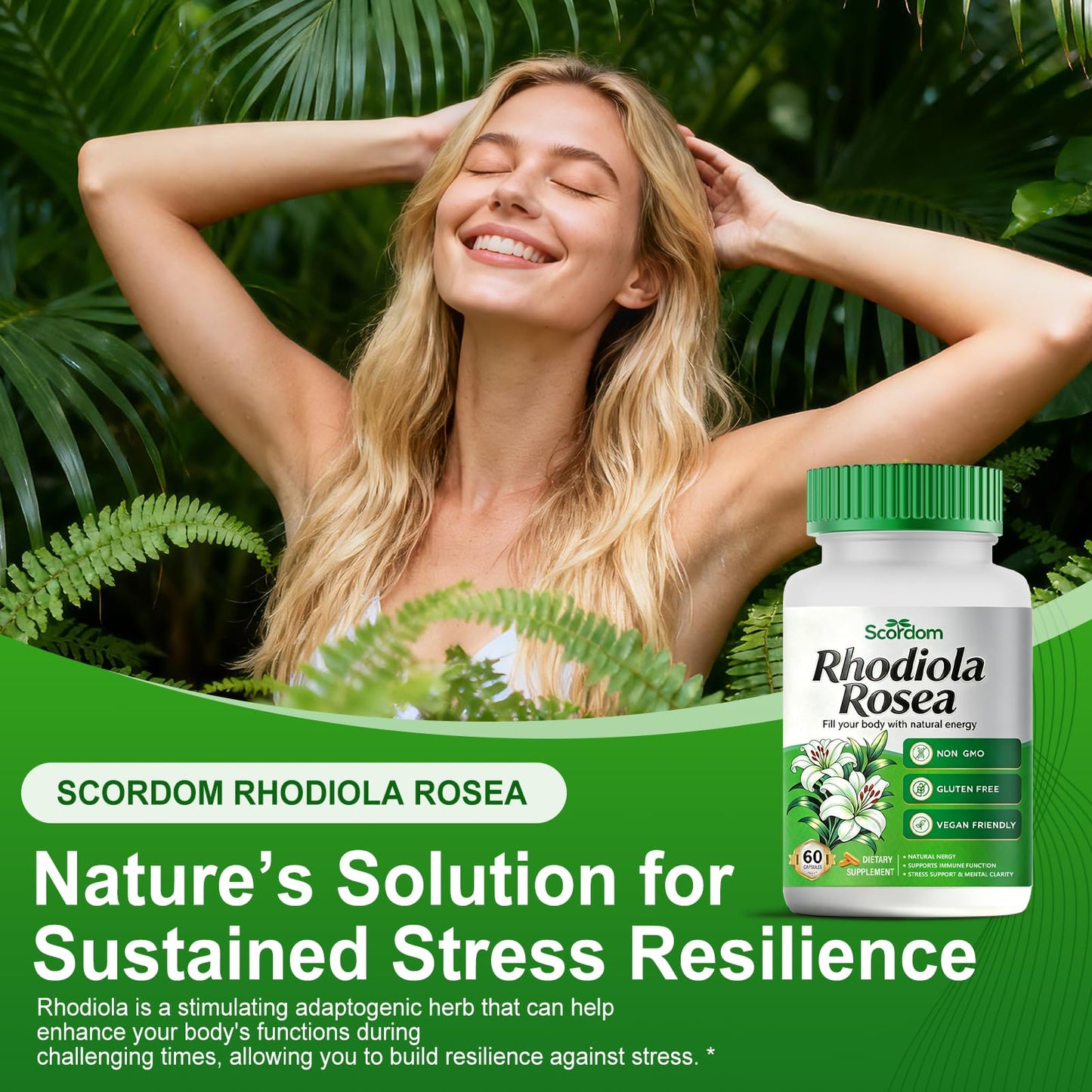 SCORDOM Rhodiola Rosea Supplement –Rhodiola Rosea Extract Powder Alternative with Salidroside for Stress Support - Energy, Focus & Performance Capsule 1