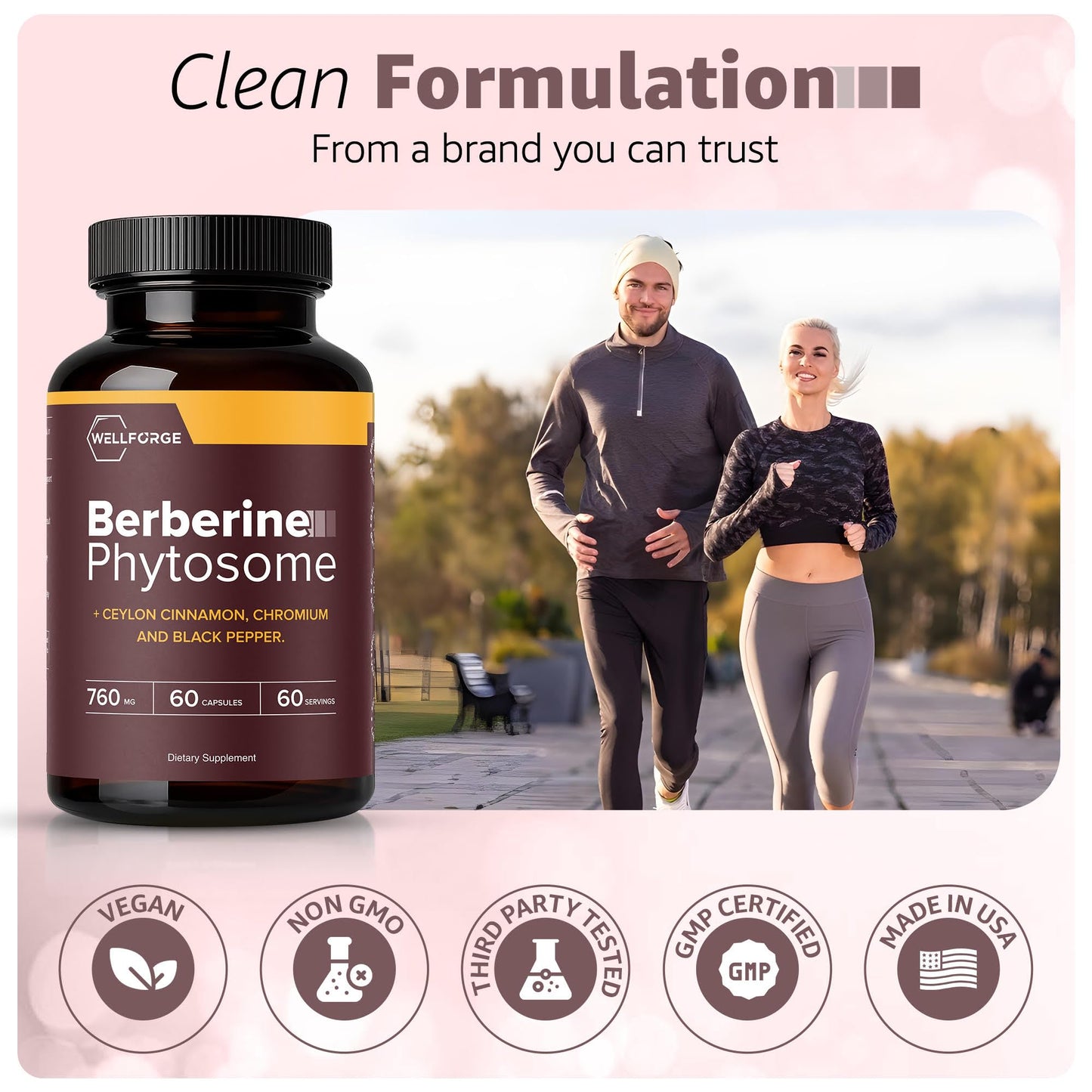 WellForge Berberine Phytosome 550mg, 60 Capsules