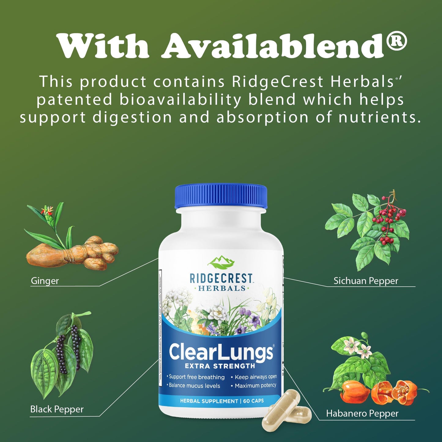 RidgeCrest Herbals ClearLungs Extra Strength Capsules 60 Count