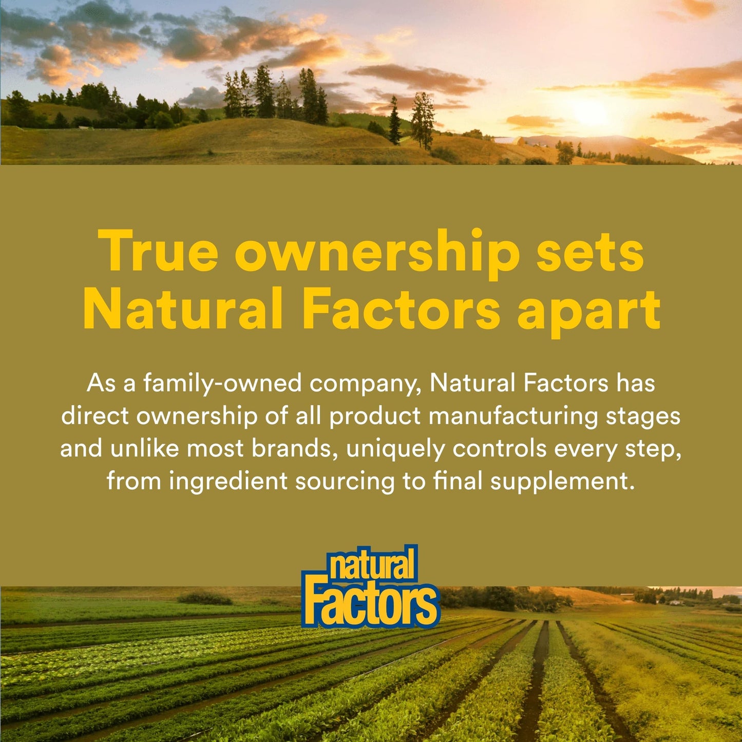 Natural Factors Quercetin LipoMicel Matrix Softgels 30