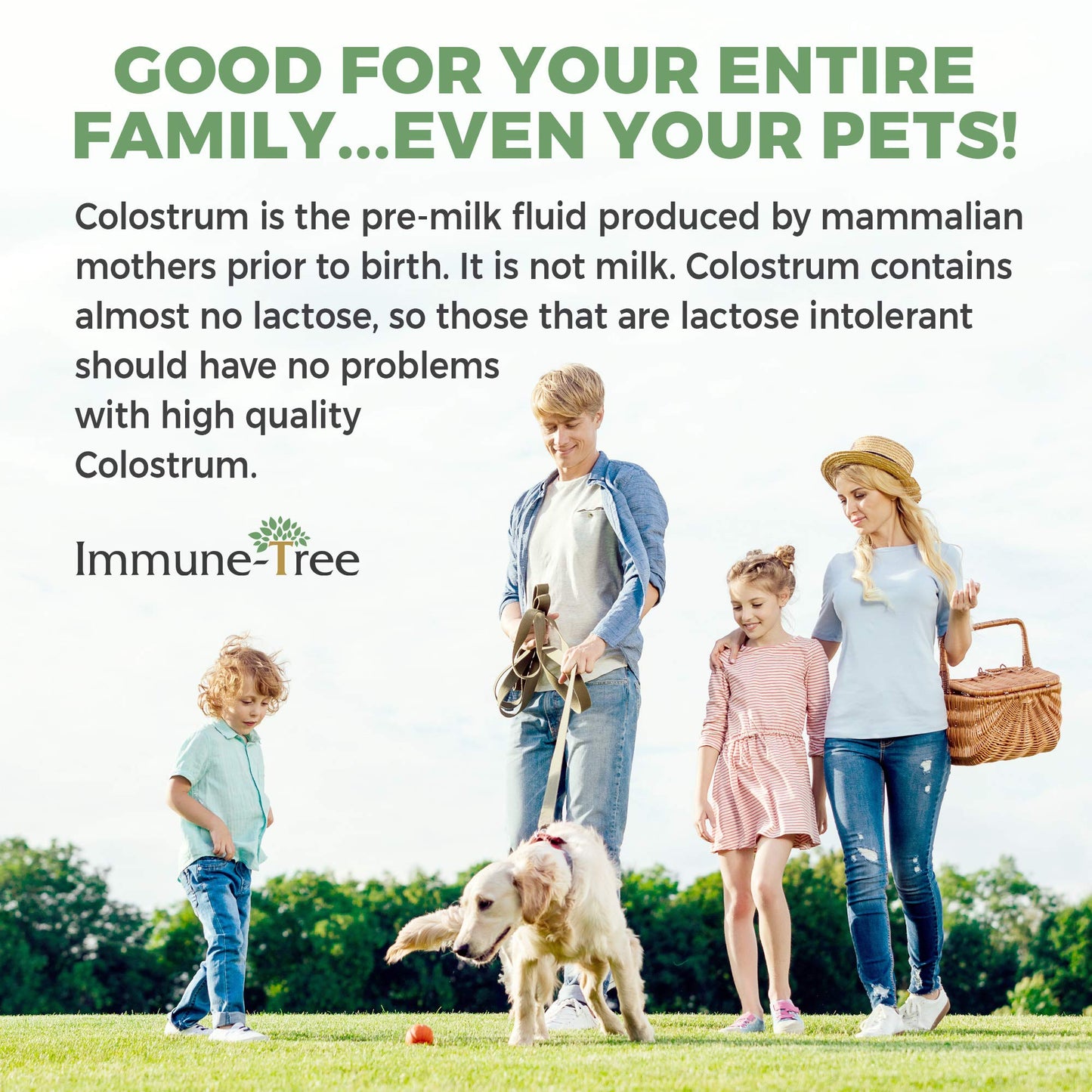 Immune-Tree 100% Bovine Colostrum Powder, 6.5 oz, 120 Servings