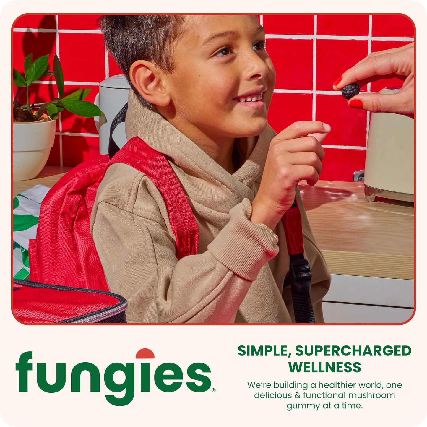 Fungies Lion's Mane Mushroom Gummies, 60 Count