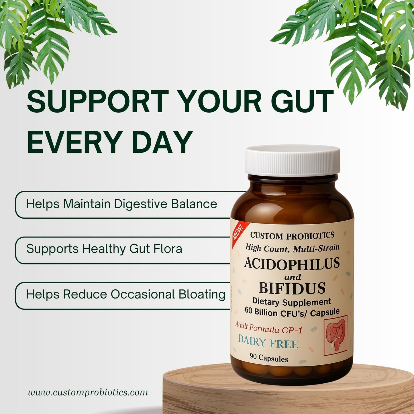 Custom Probiotics CP-1 Adult Formula Probiotic Capsule 90 Count