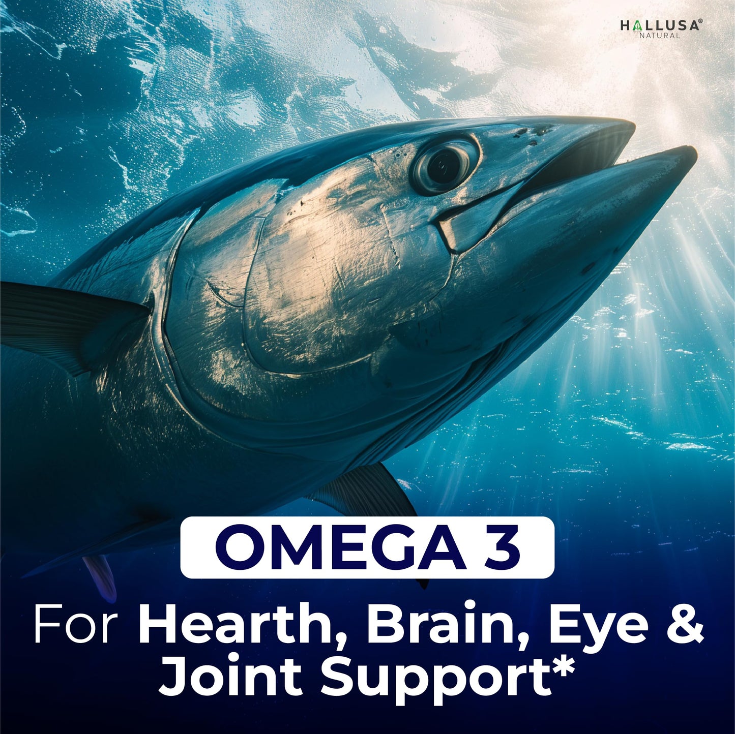 Hallusa Natural Omega 3 Fish Oil 1000mg with 800mg Omega-3, Essential Fatty Acids EPA & DHA, Heart, Brain & Eye Support Softgel 60
