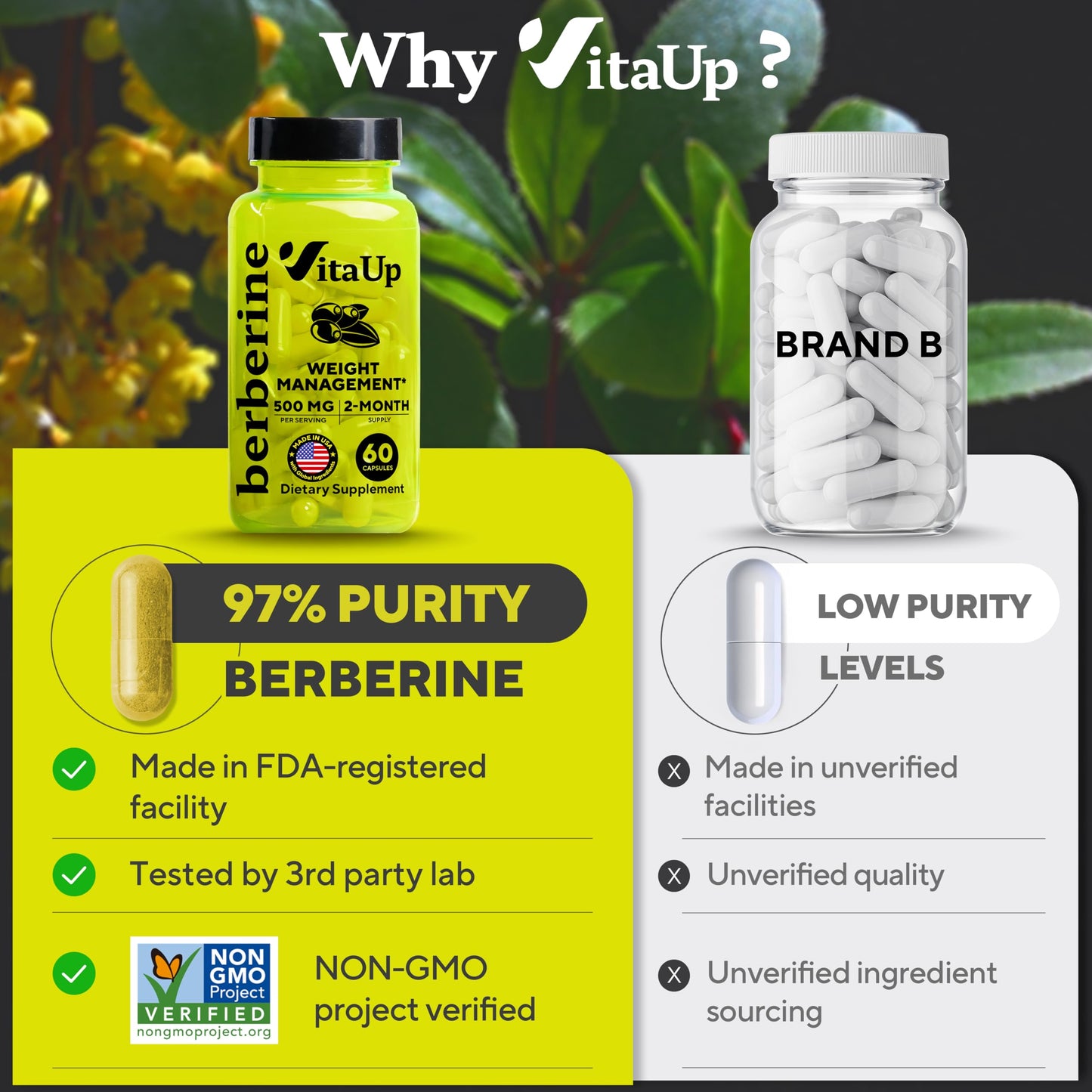 VitaUp Berberine Supplement 500mg Capsule 60 Capsules