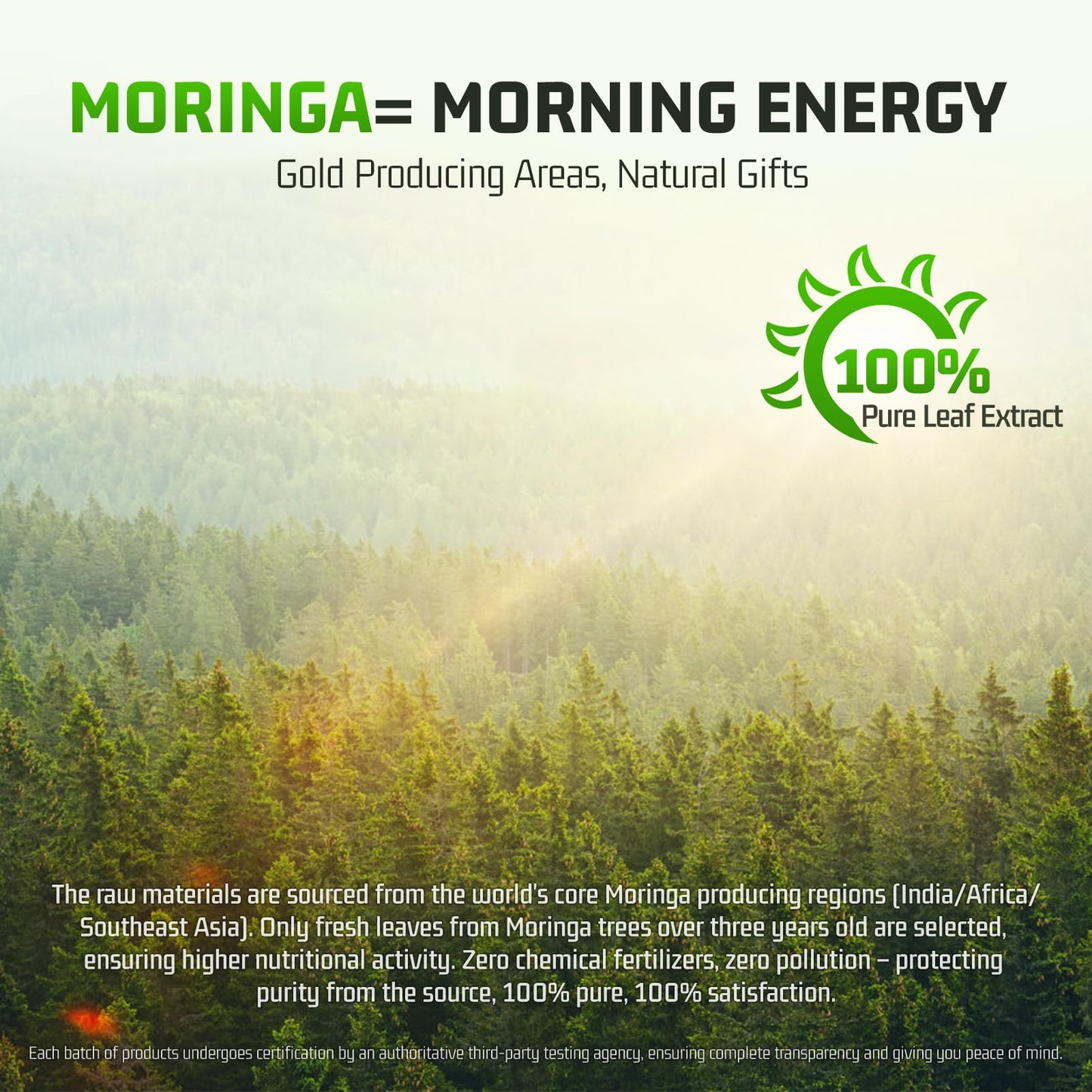 Nature Echo Moringa Oleifera Capsules 50:1 High Potency Extract, 60 Count
