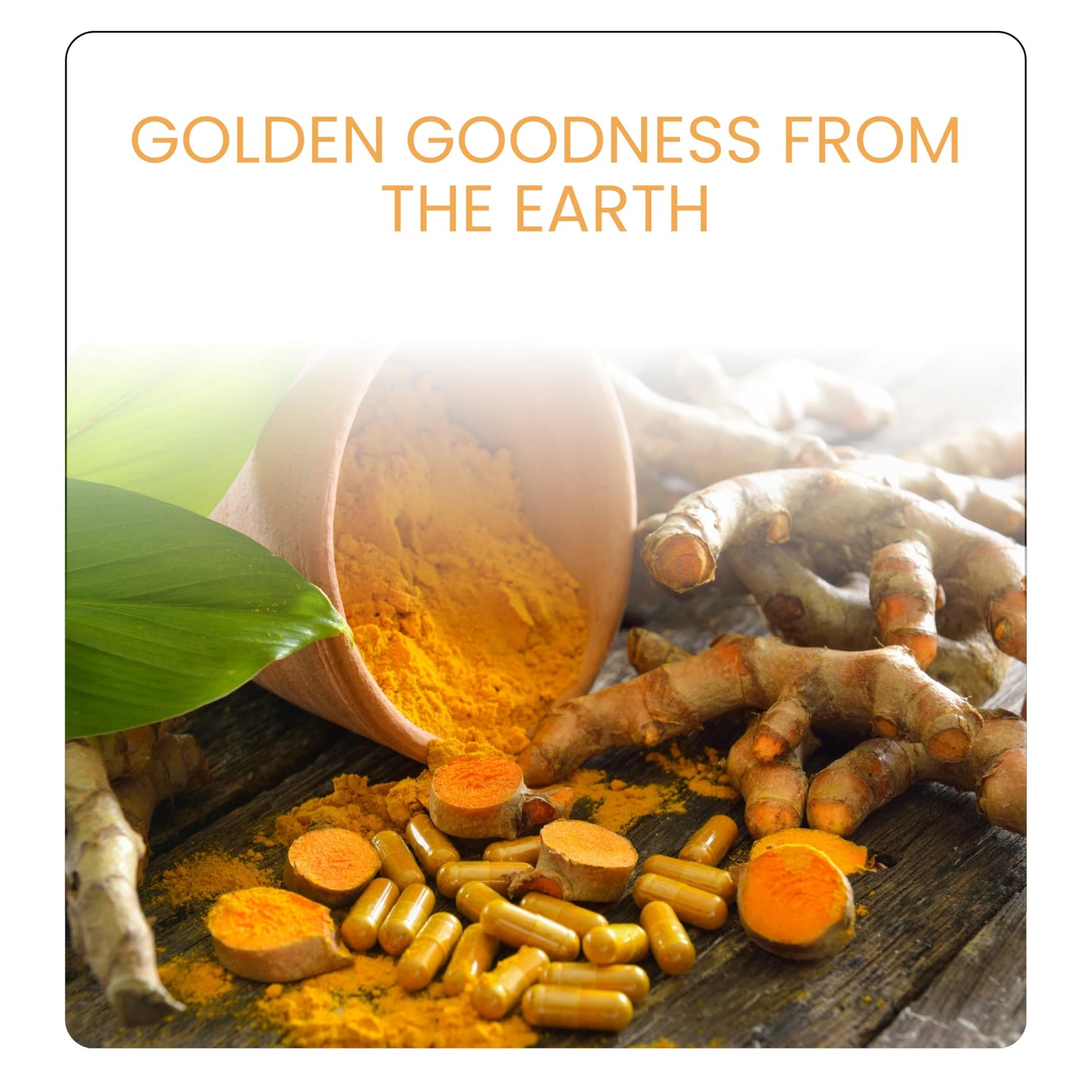 NaturalHerbo Turmeric Capsules 800mg, 120 Capsules