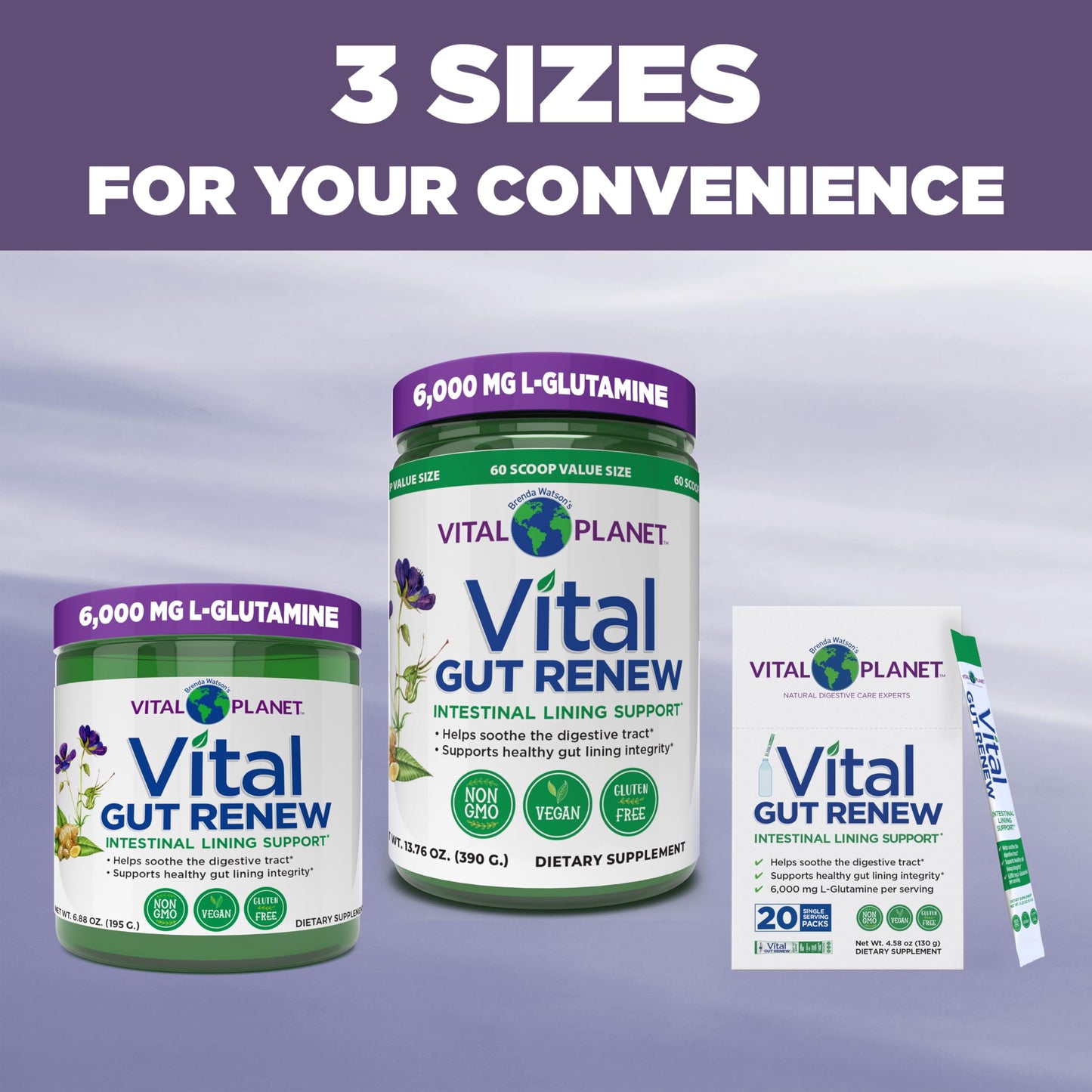 Vital Planet Vital Gut Renew Powder Supplement for Leaky Gut Repair with L-Glutamine, Marshmallow and Ginger Root, DGL Licorice Root and Organic Aloe Vera, 6000mg, 4.5 oz