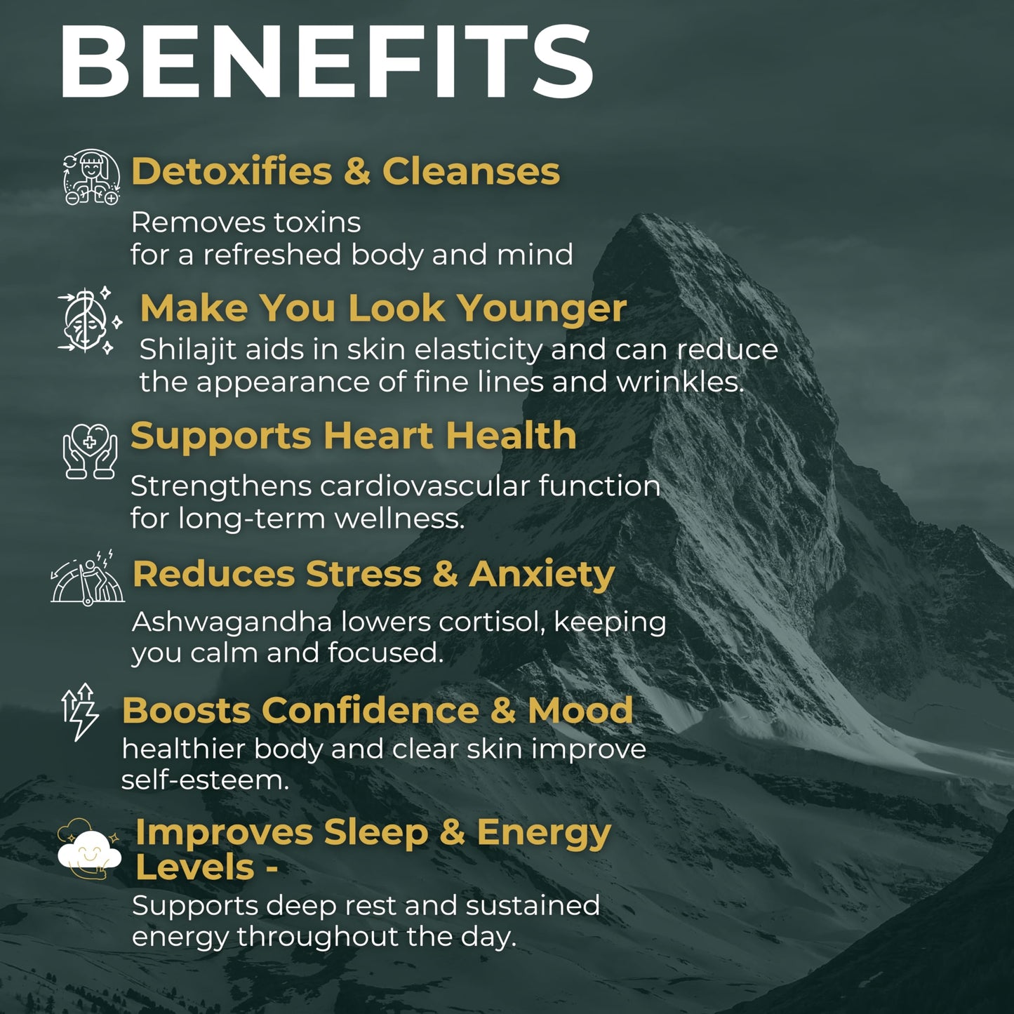 HERBALEX Himalayan Shilajit Gummies, 30 Gummies
