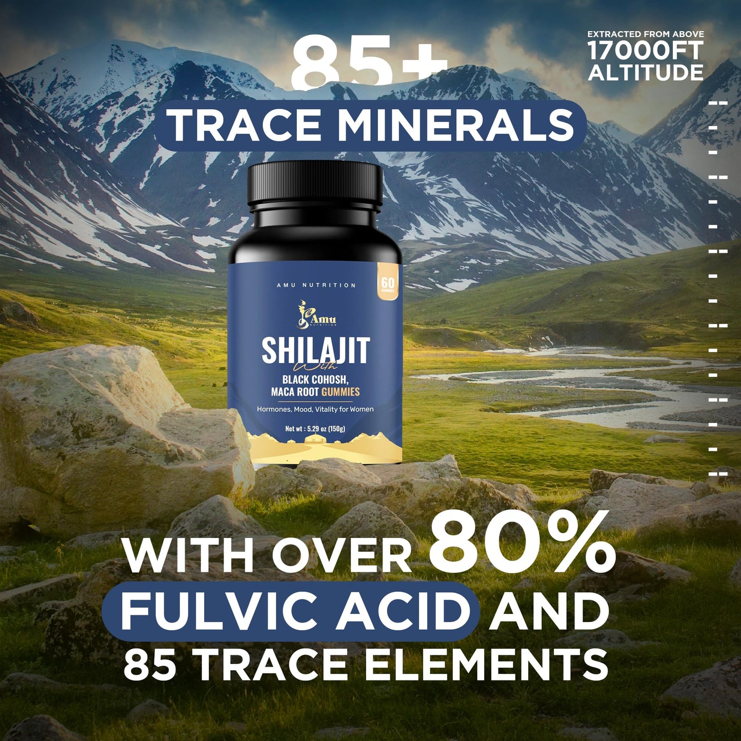 AMU NUTRITION Shilajit Gummies 60 Count