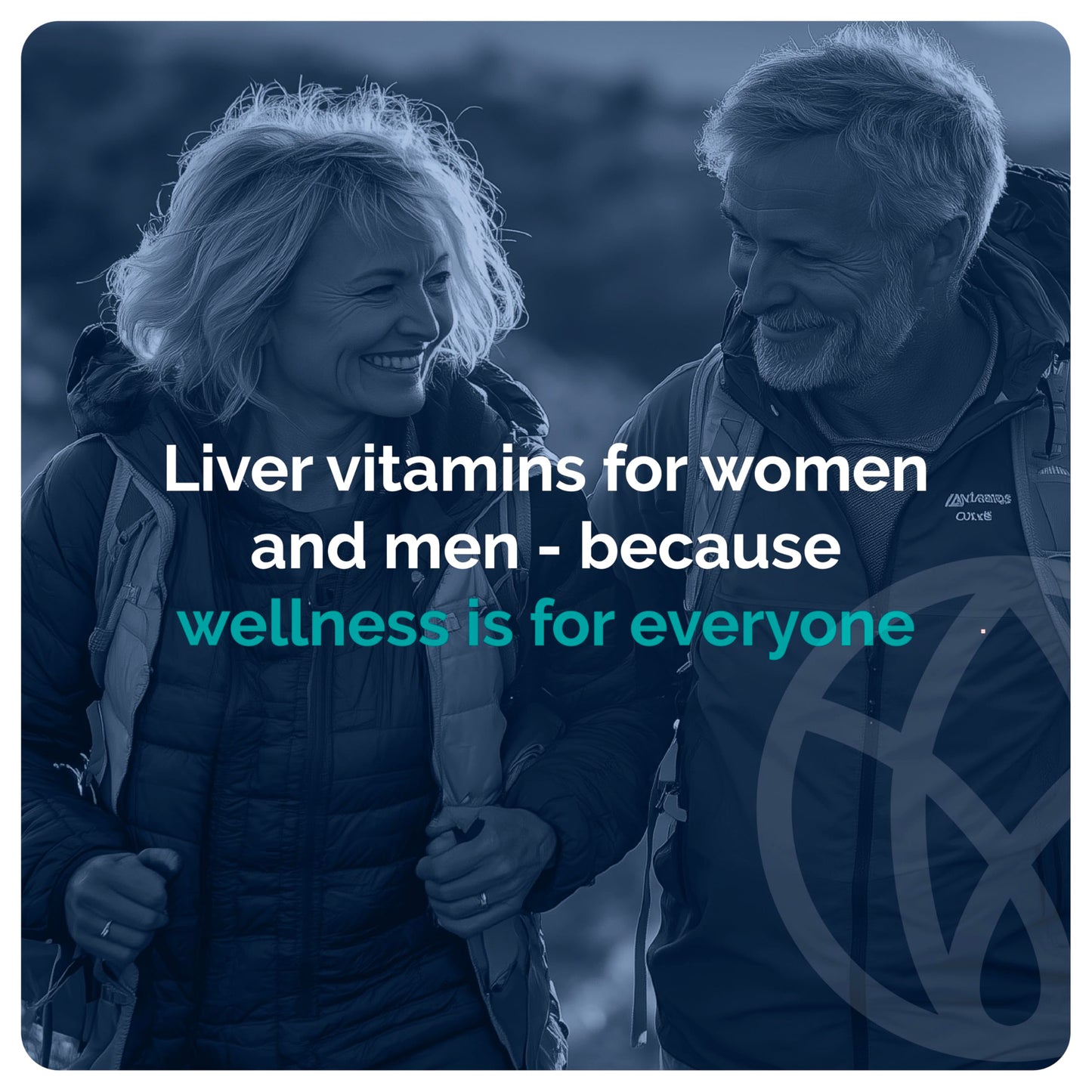 SYNVITE Liver Wellness Capsule 60 Count