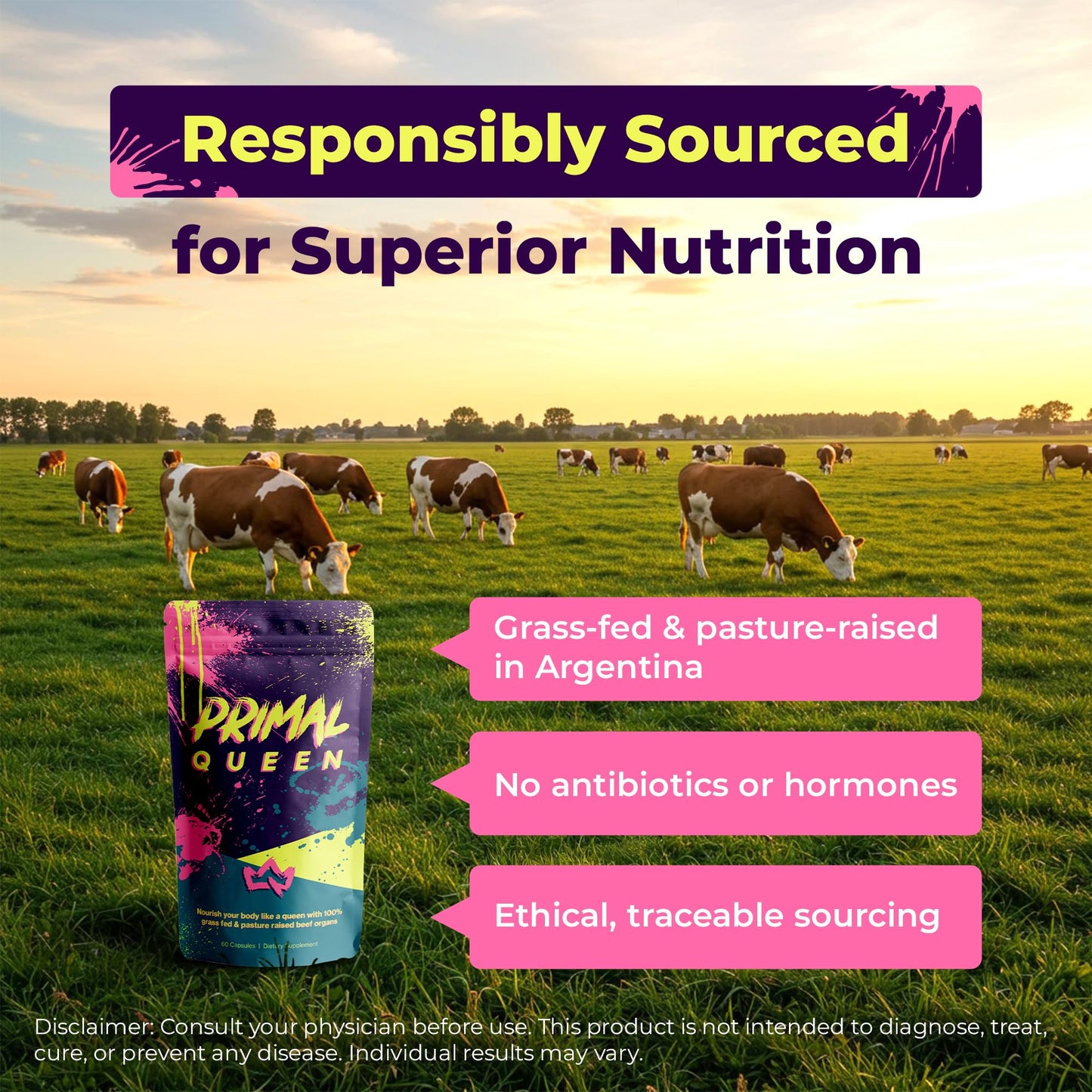 Primal Queen Beef Organ Superfood, Grass-Fed Liver Kidney Heart for Women Capsules, 60 Count