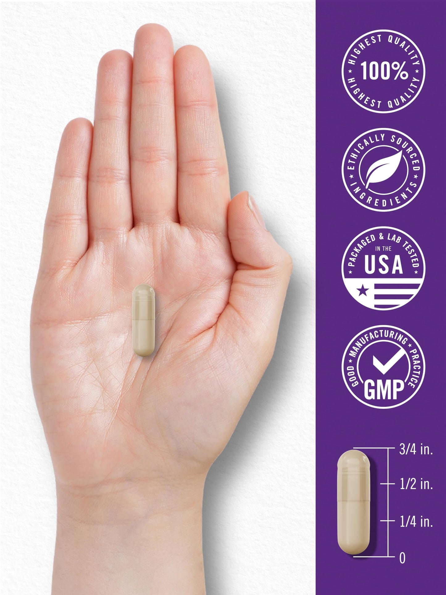 Carlyle Probiotic 100 Billion CFU Delayed Release Capsules 120 Count