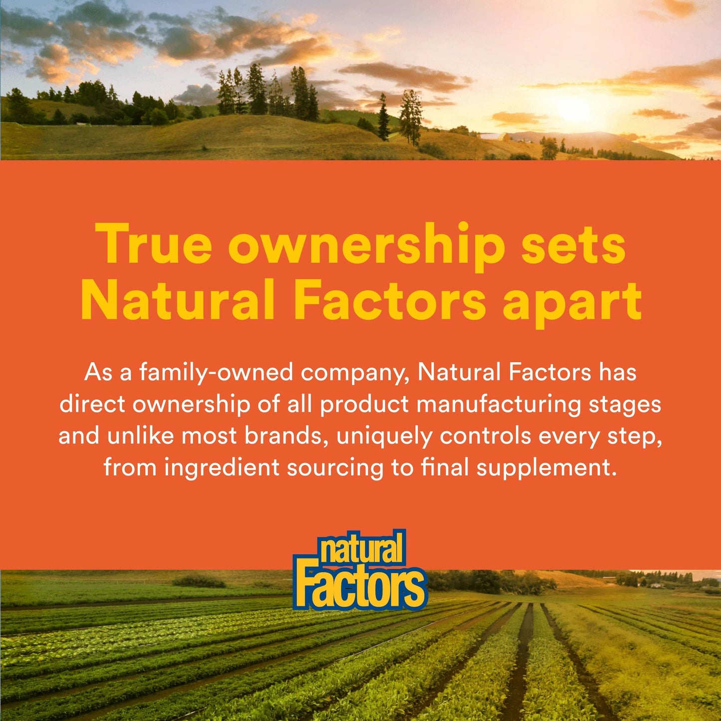 Natural Factors Liposomal Vitamin C 1000 mg Softgels 60