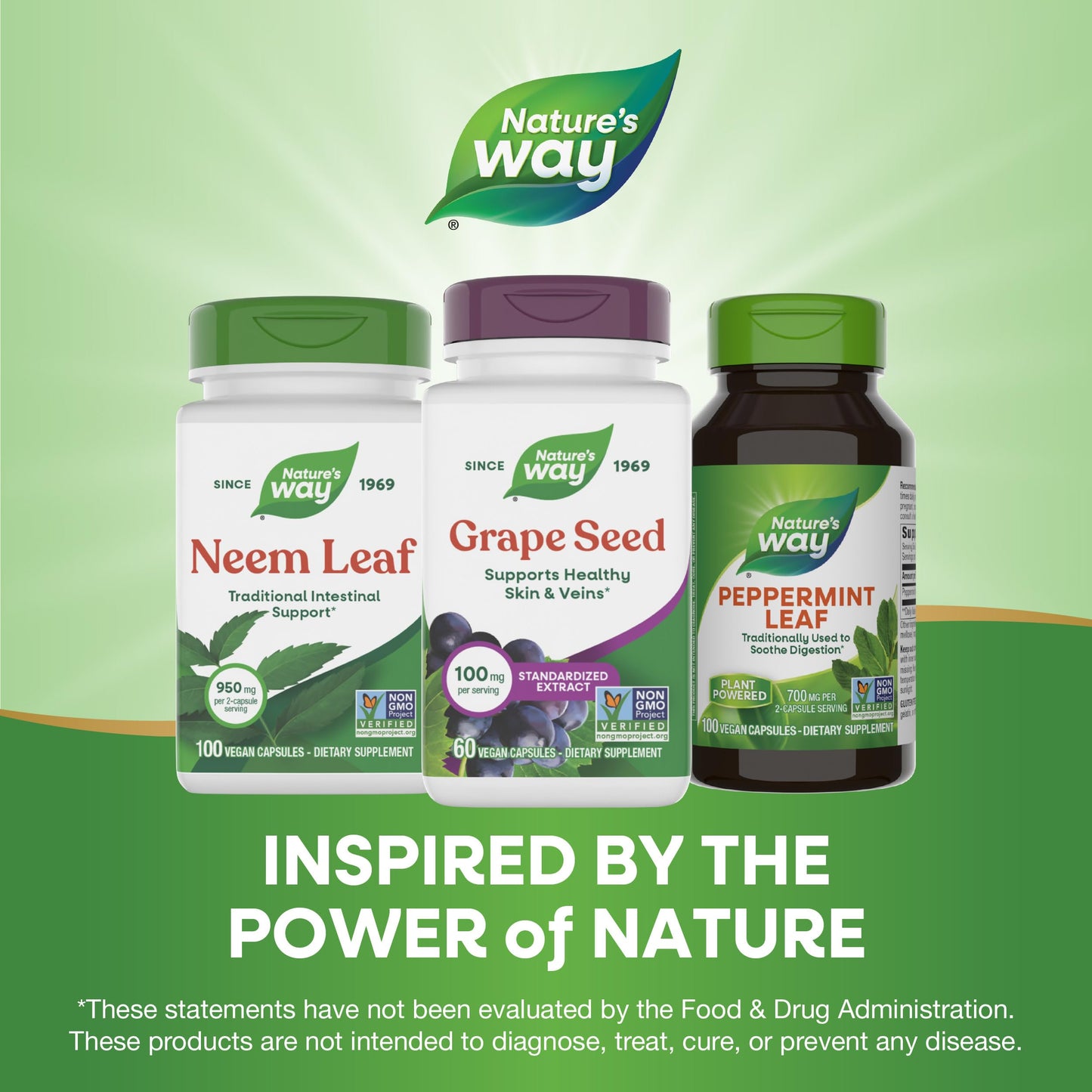 Nature's Way Grape Seed Standardized Extract Capsule 60 Count