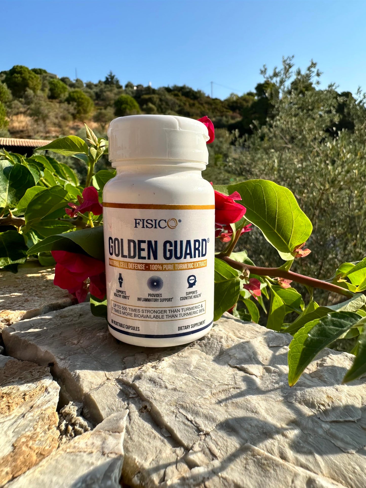 Golden Guard Fisico Turmeric Extract, 60 Capsules