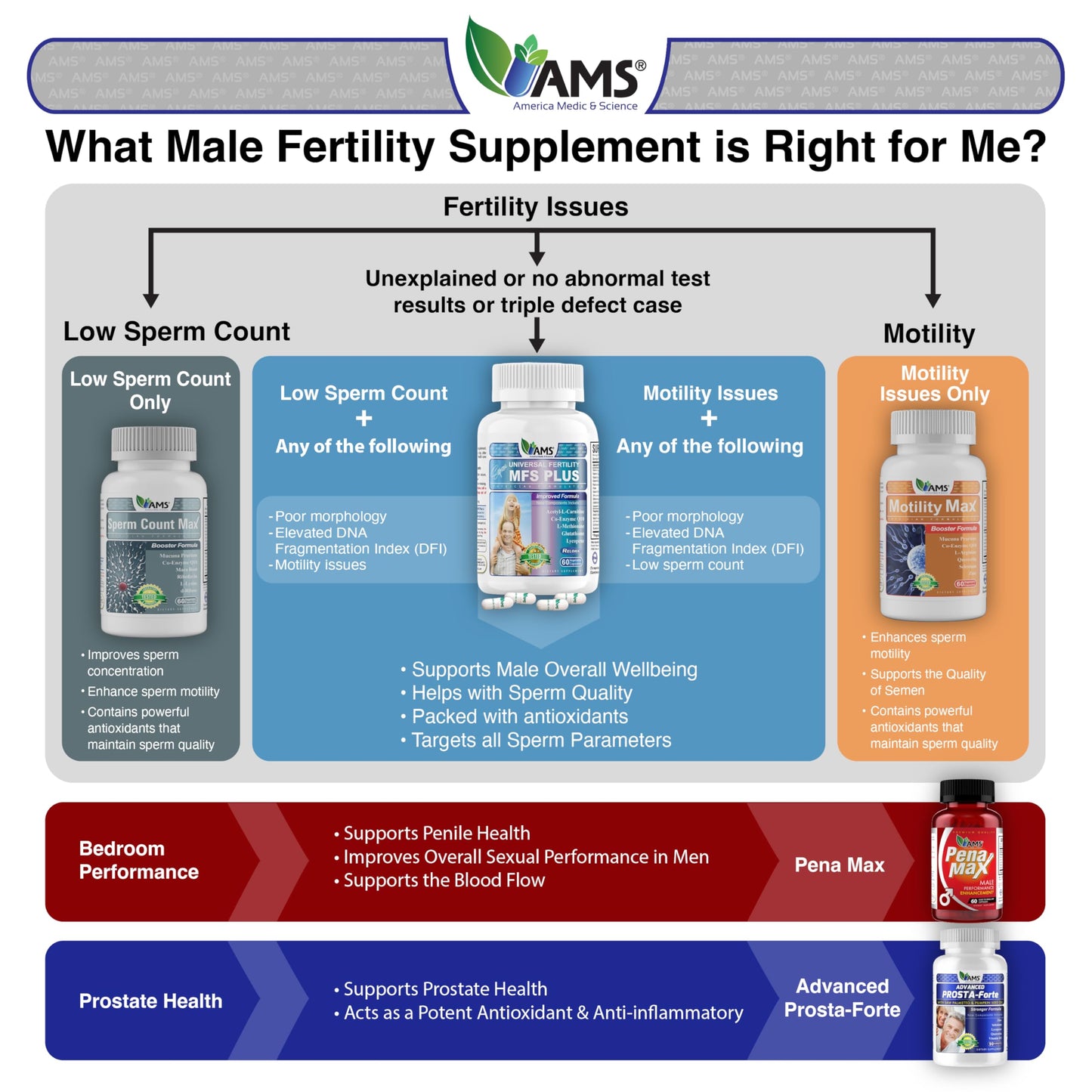 America Medic & Science MFS Plus Fertility Supplements for Men Capsule, 60 Count