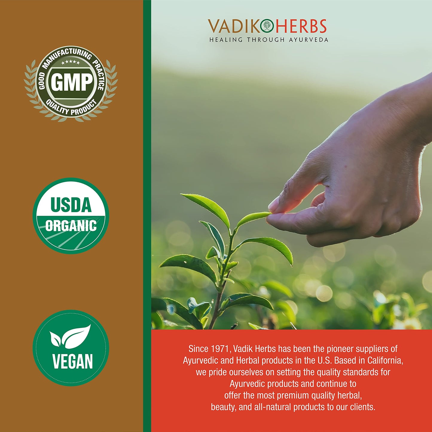 Vadik Herbs Dashmoola Capsule 100