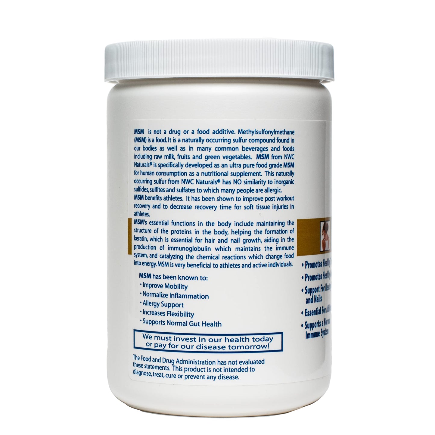 NWC Naturals Ultra-Pure MSM Powder, 16 oz