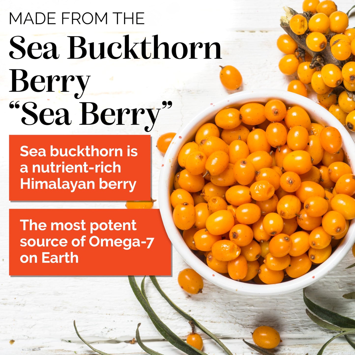 sibu Sea Buckthorn Omega-7 Plus Capsules 60 Count