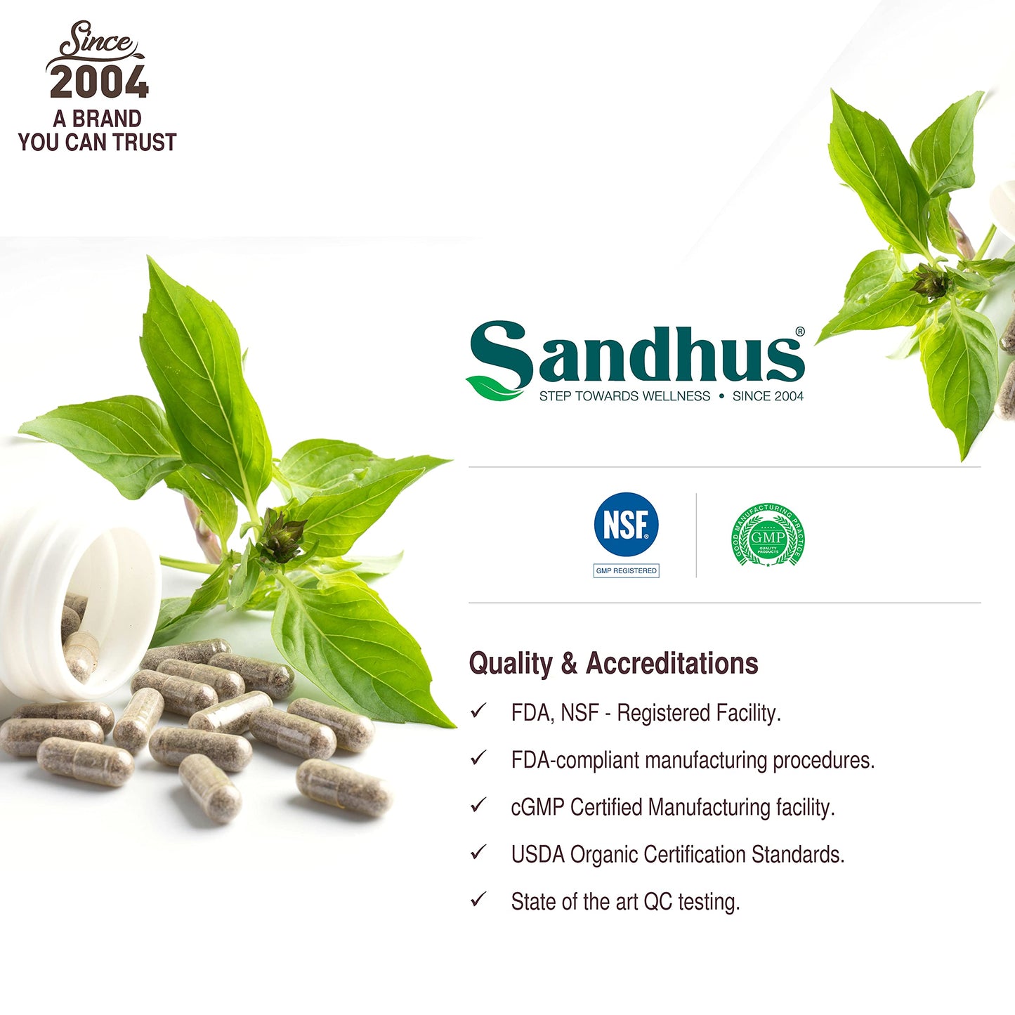 Sandhu's Echinacea Goldenseal Capsules 90 Count