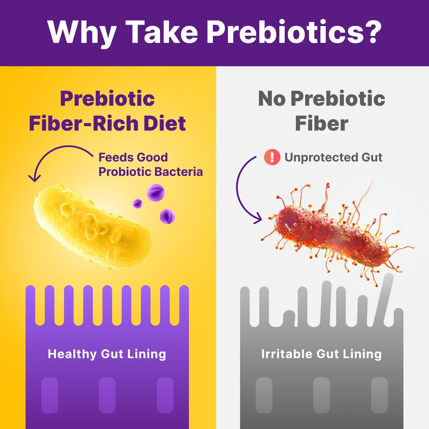 InnovixLabs Prebiotic Fiber Powder for Digestive & Gut Health 6.4 oz