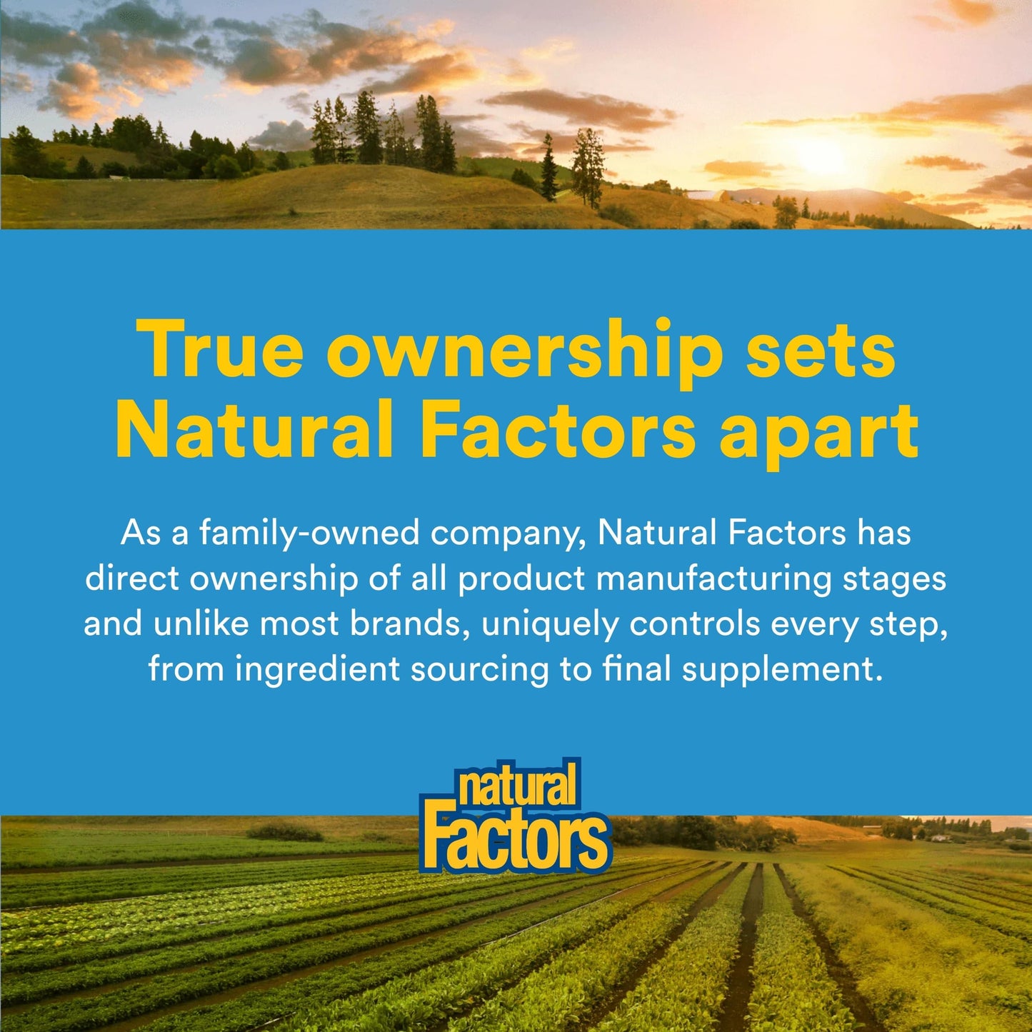 Natural Factors Acetyl L-Carnitine 500 mg Capsules, 60 Count