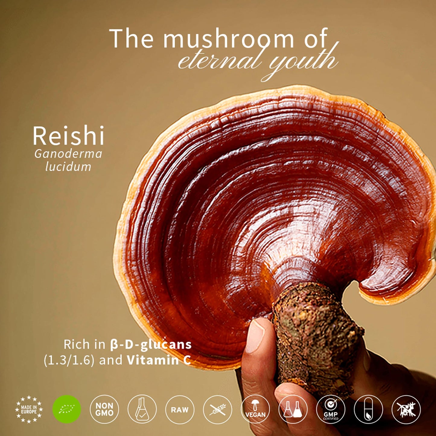 HIFAS DA TERRA Mico-Rei Organic Reishi Mushroom Capsules 70 Capsules
