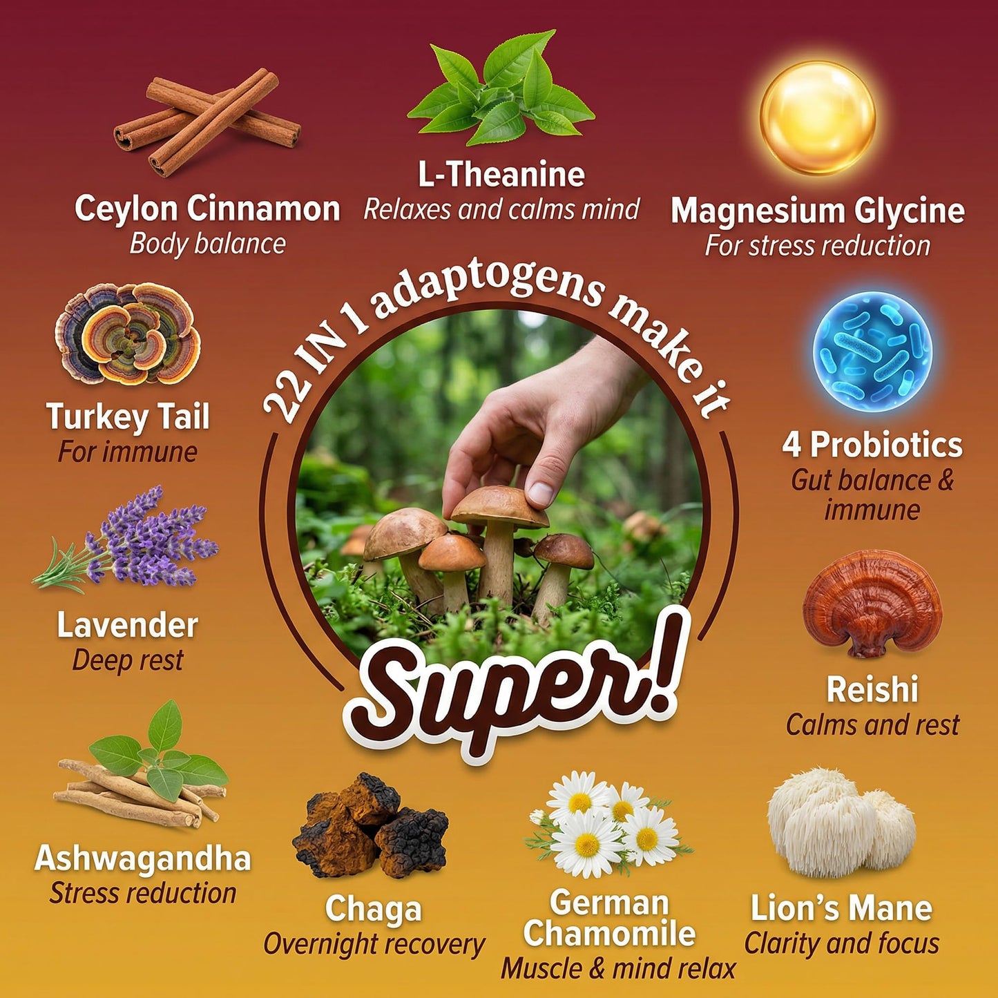 Marpvore Mushroom Hot Cocoa Powder with Magnesium Glycinate, L-Theanine, Probiotics, Ashwagandha, Reishi, Organic Cacao Powder Hot Chocolate Supplement for Sleep, Relaxation, Digestion, No Melatonin, Vegan, 7.4075 oz
