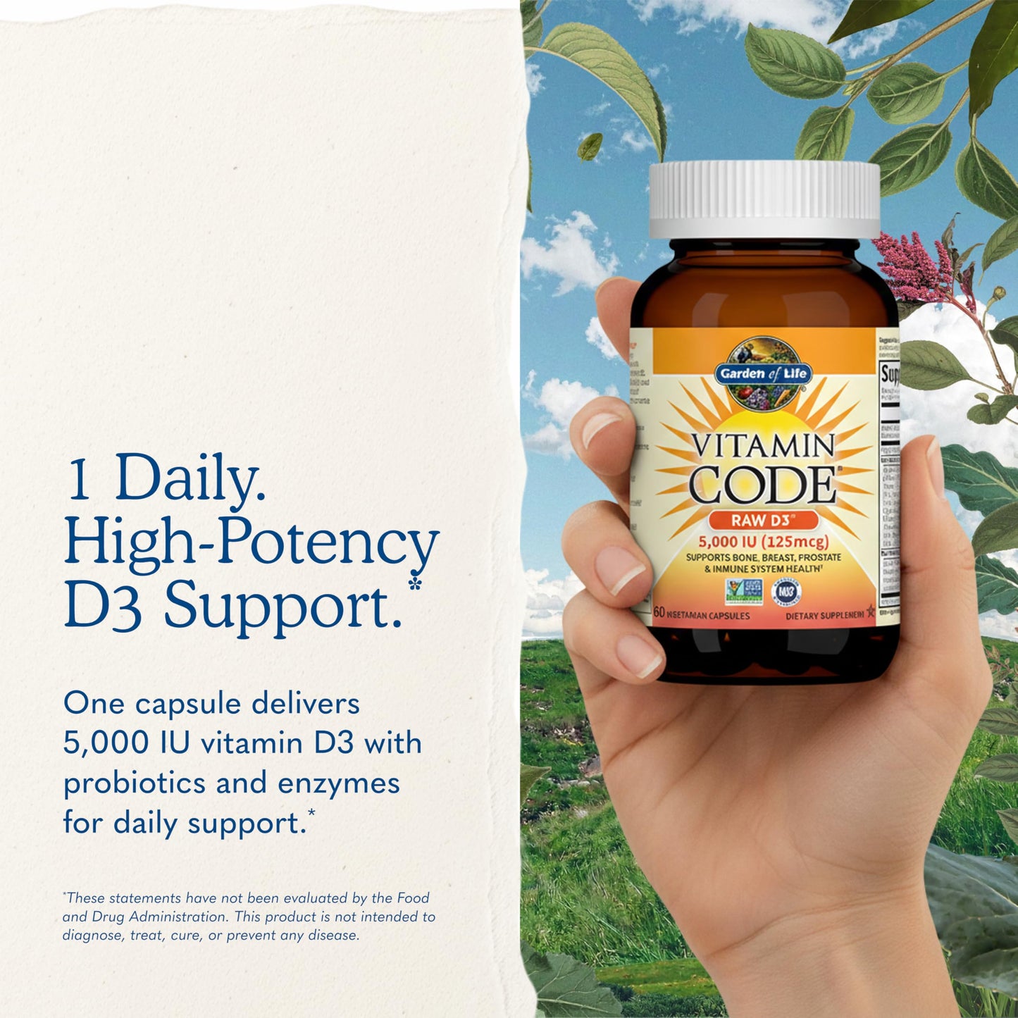 Garden of Life Vitamin D3 5000 IU Capsules, 60 Count